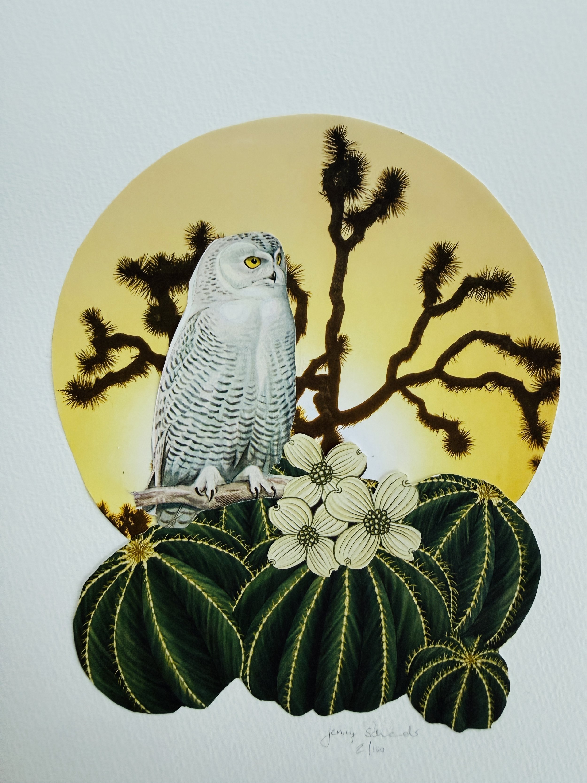 which way next?
 
Vintage Paper Collage, 2026