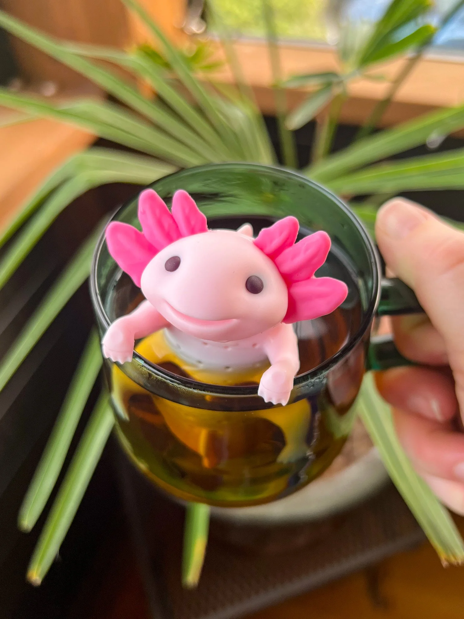 relaxolotl_env1.jpg