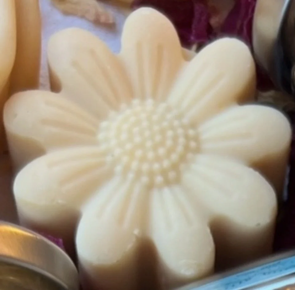 IMG_9294.jpeg (Copy)