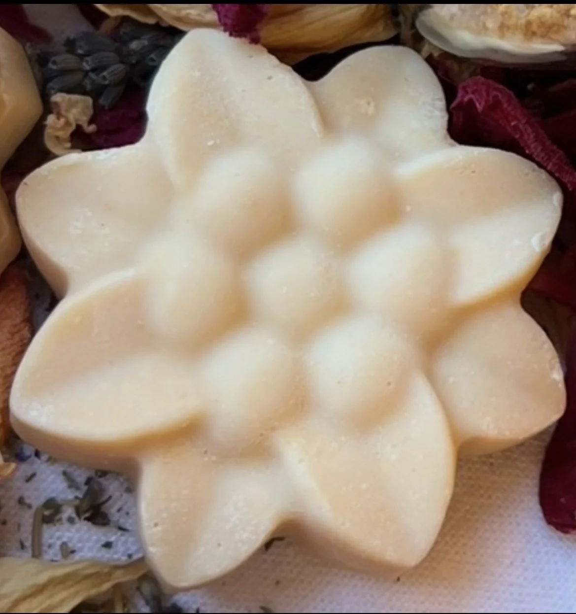 IMG_9316.jpeg (Copy)