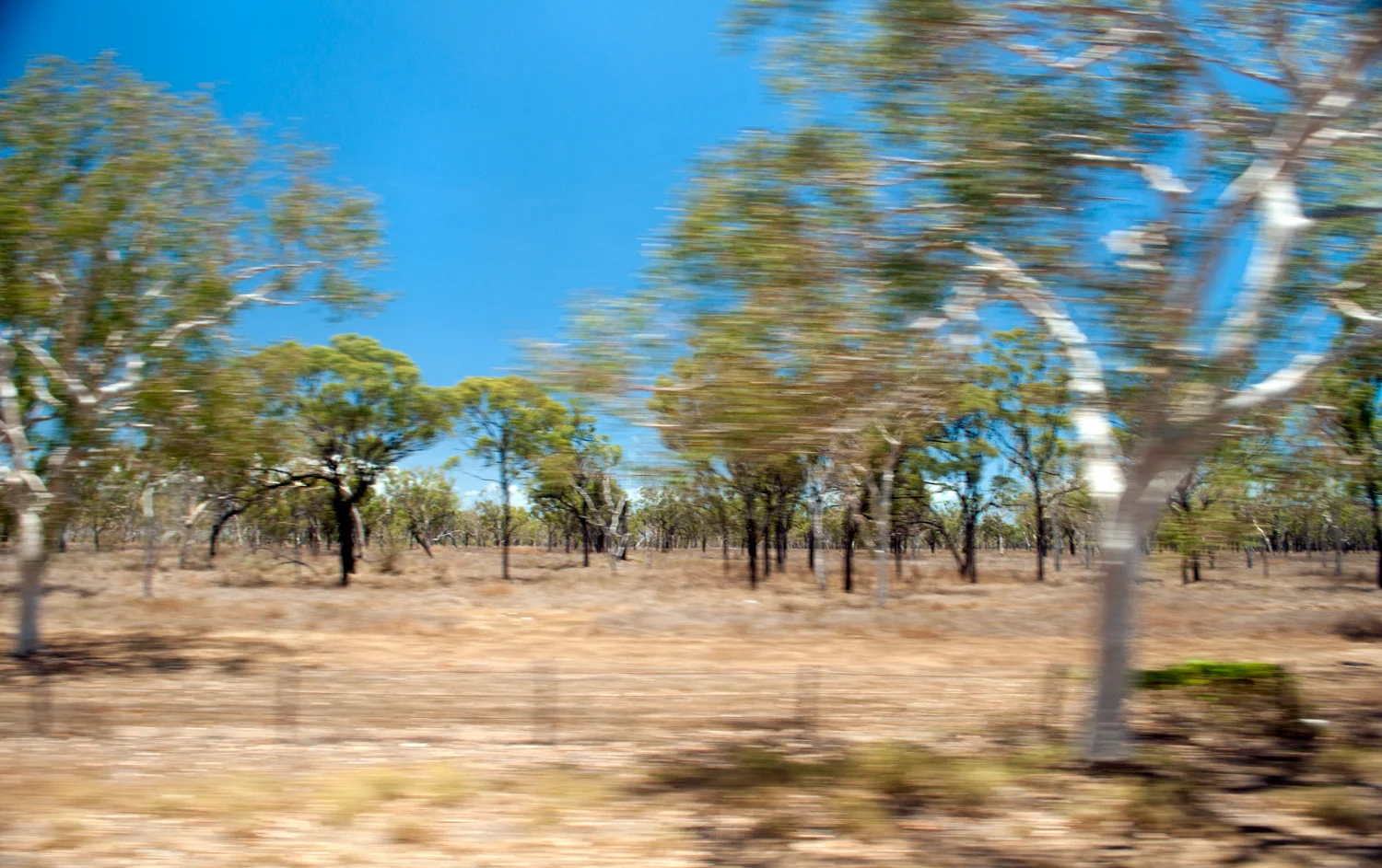 Riding the Greyhound. Middle of Nowhere, Australia. November 2012