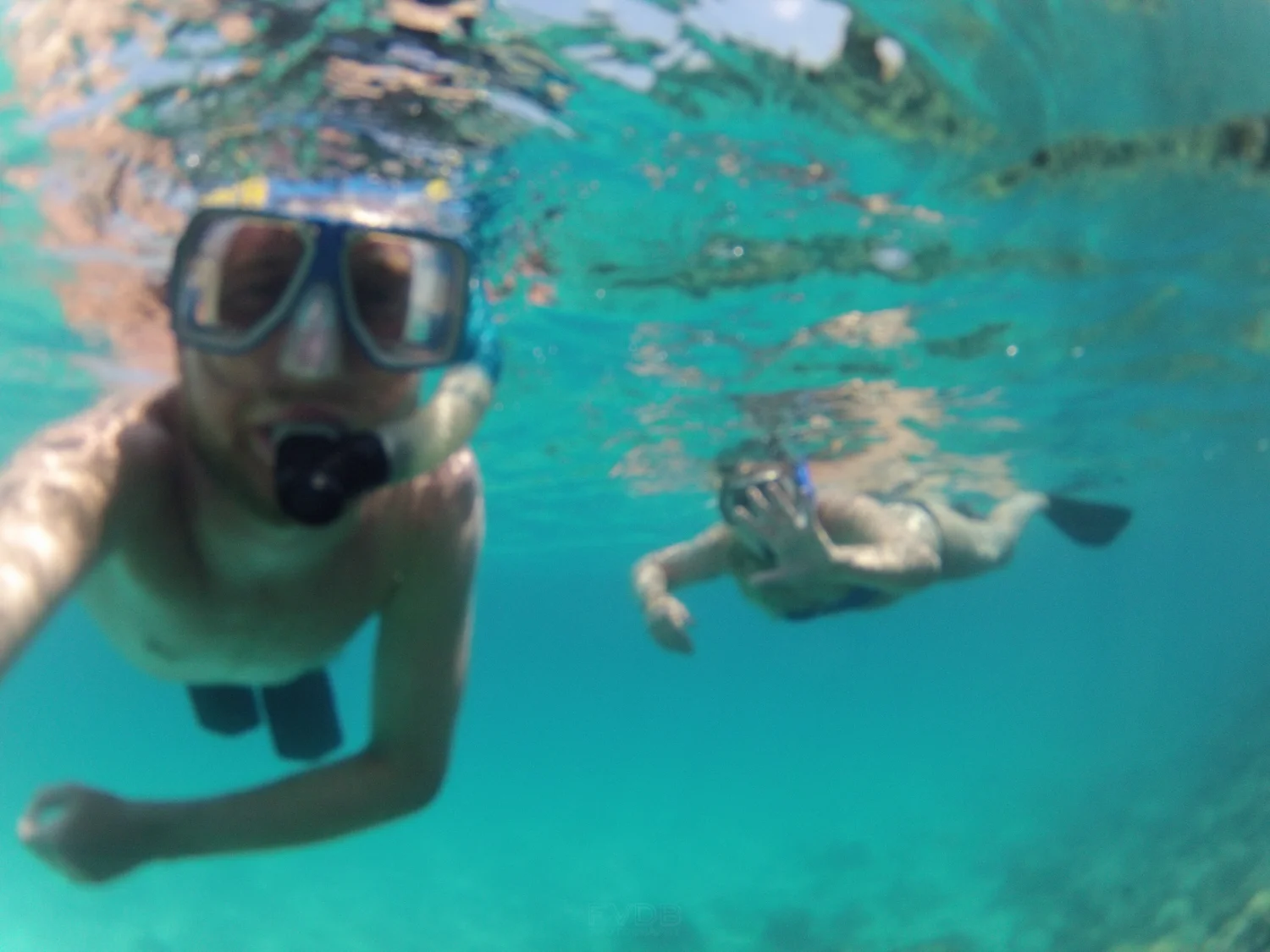 Greetings from the Great Barrier Reef, Australia. November 2012