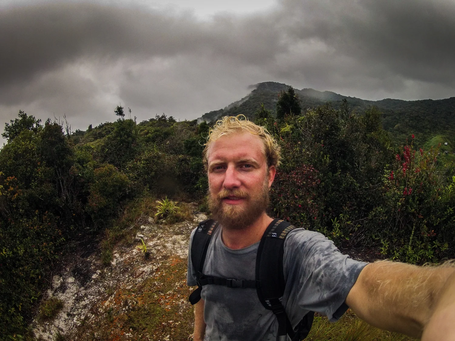 Greetings from the Cameron Highlands, Malaysia. Christmas Day, 2012