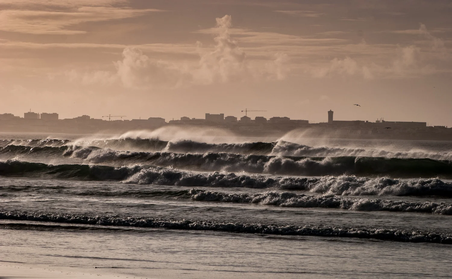 Surfing the waves and surfing the books - Adventure: Education. Peniche, Portugal. October 2013