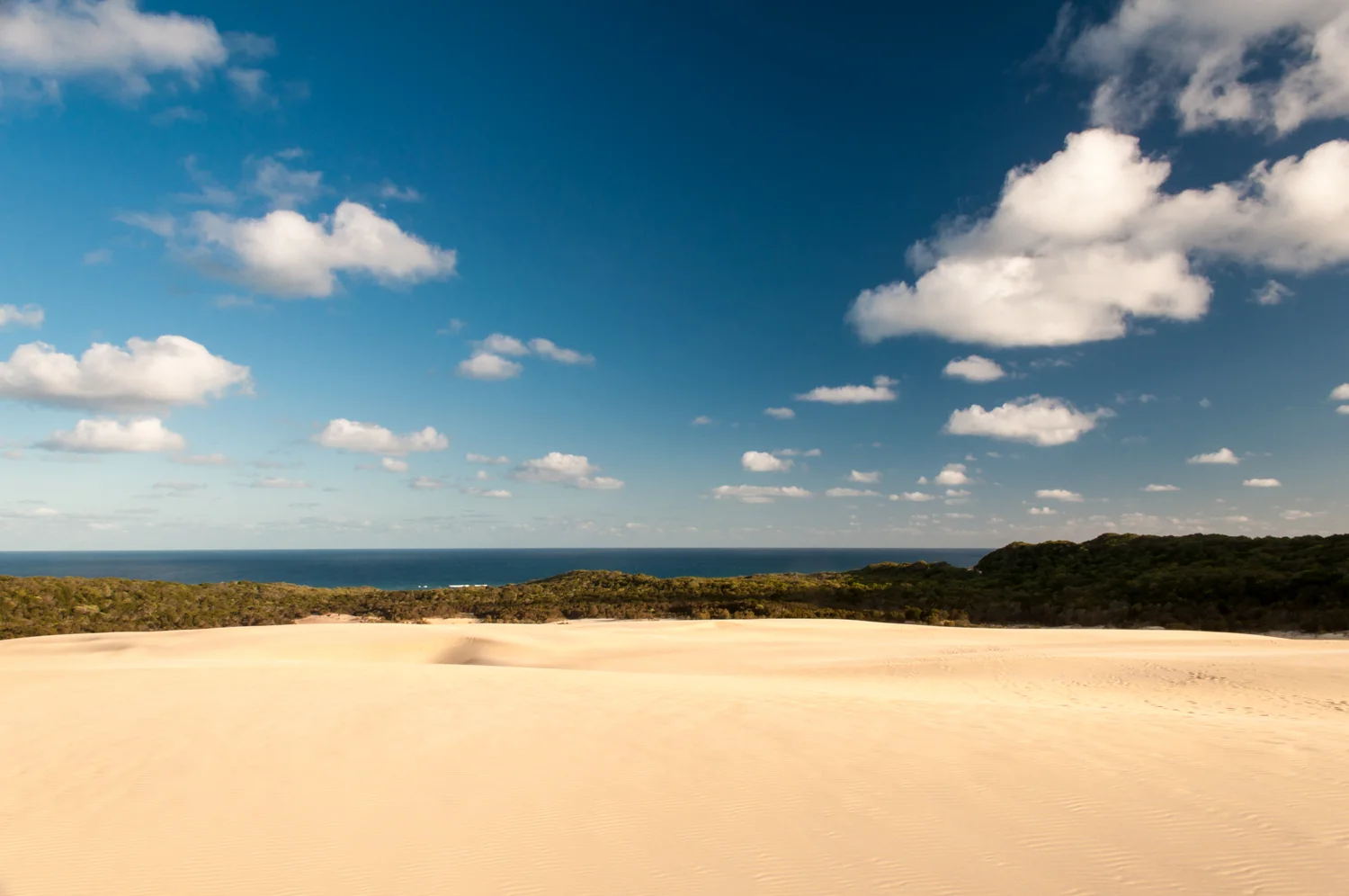 20121105-DSC_0410.jpg