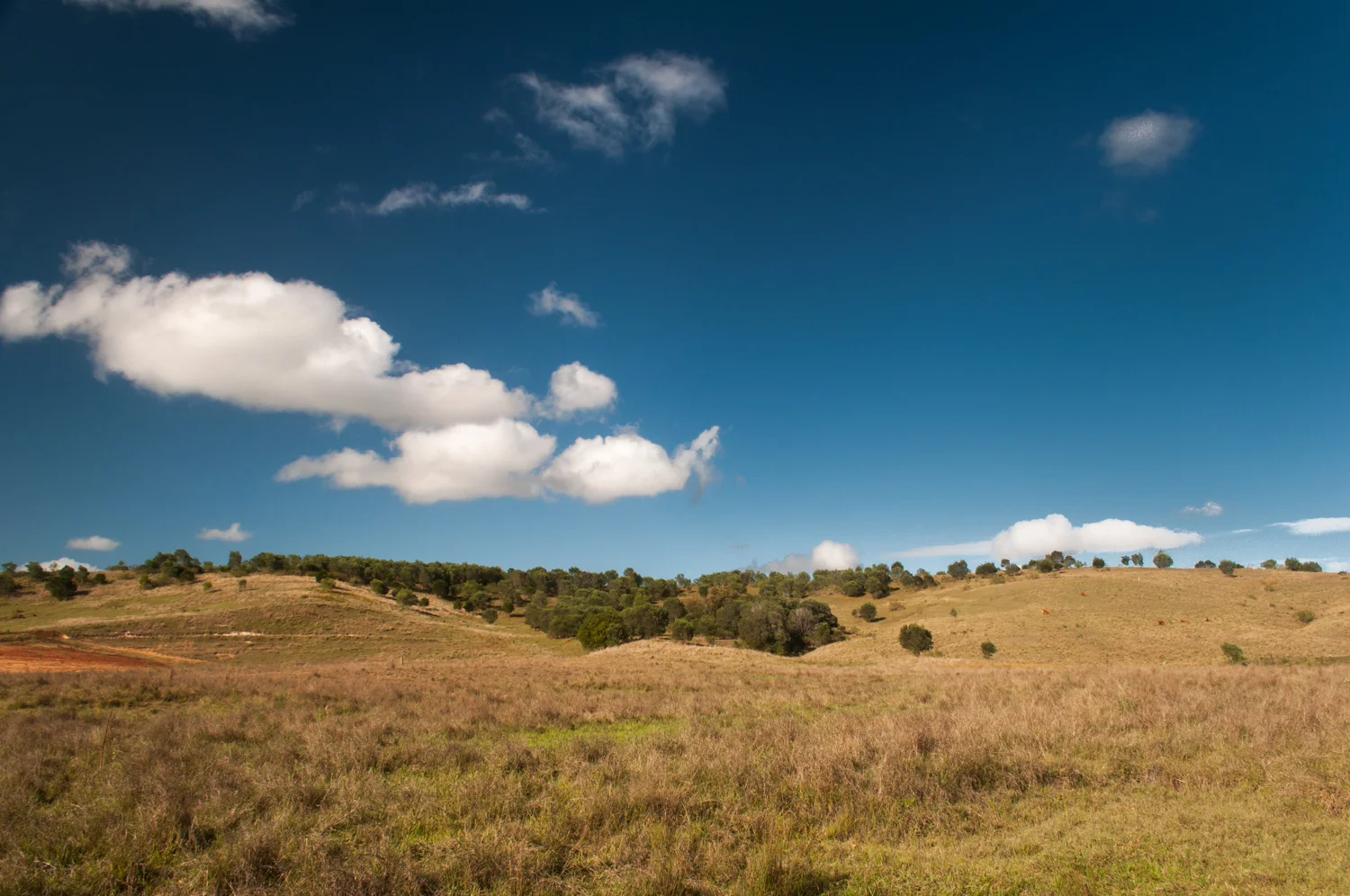 20121108-DSC_0582.jpg