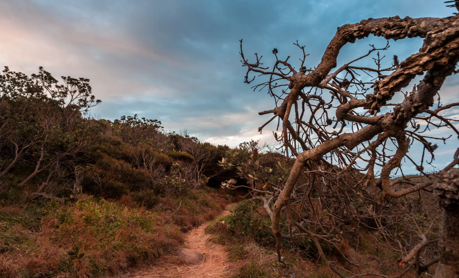 20121030-DSC_0154.jpg