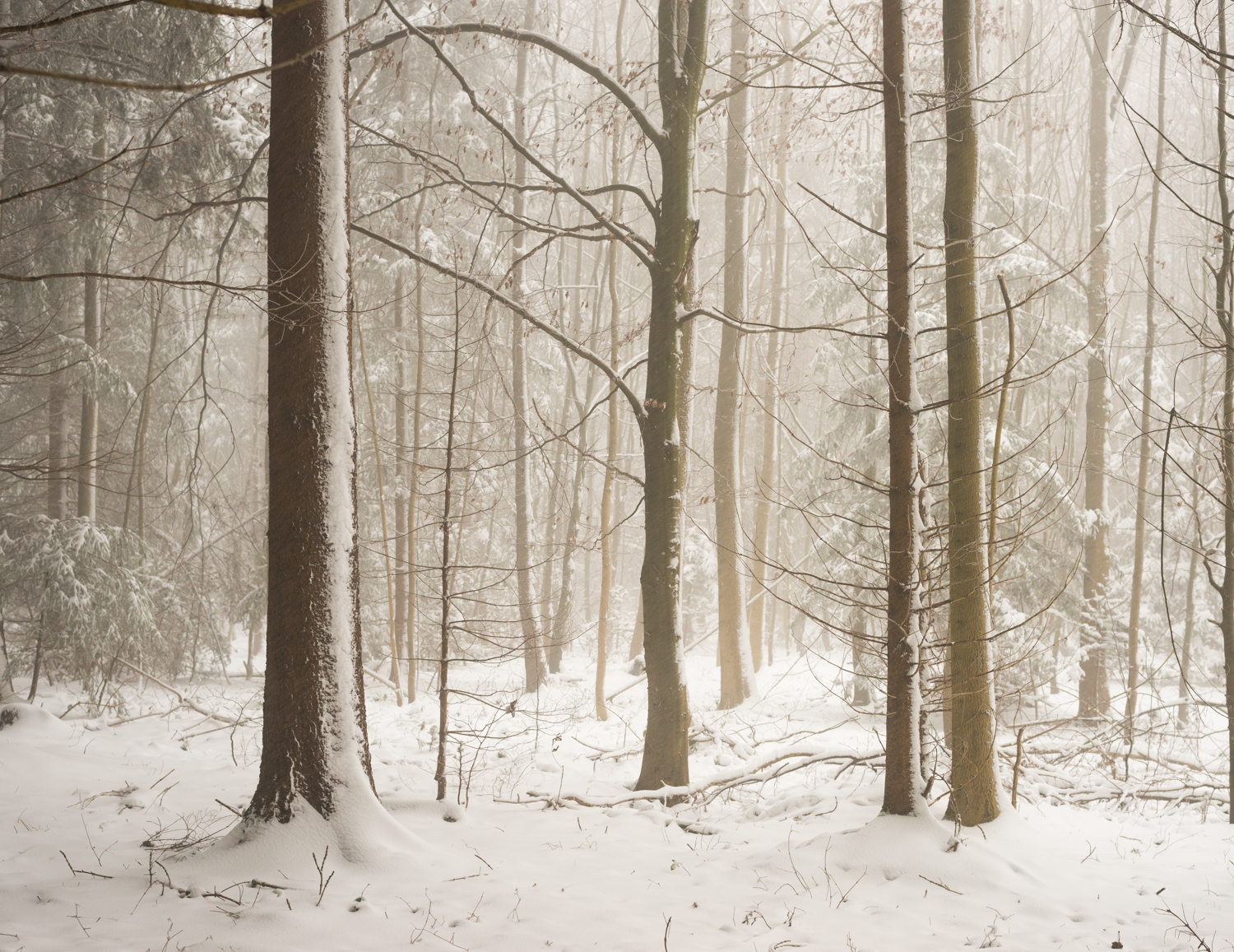 Winter Is Here