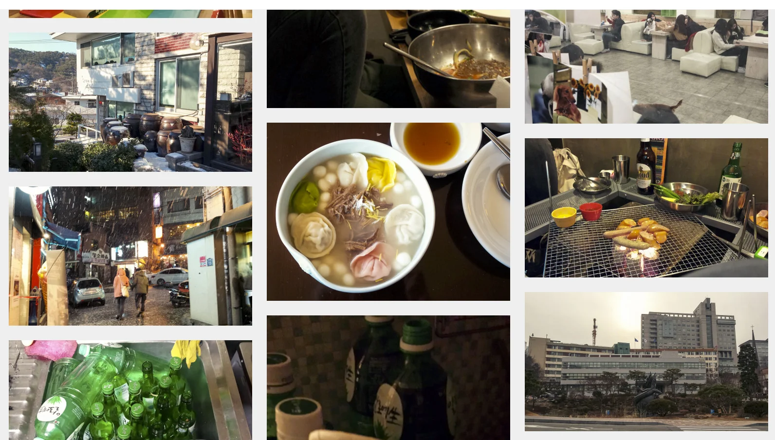 The delicious food, the big snowflakes in Itaewon, the dog cafe, the alcohols.