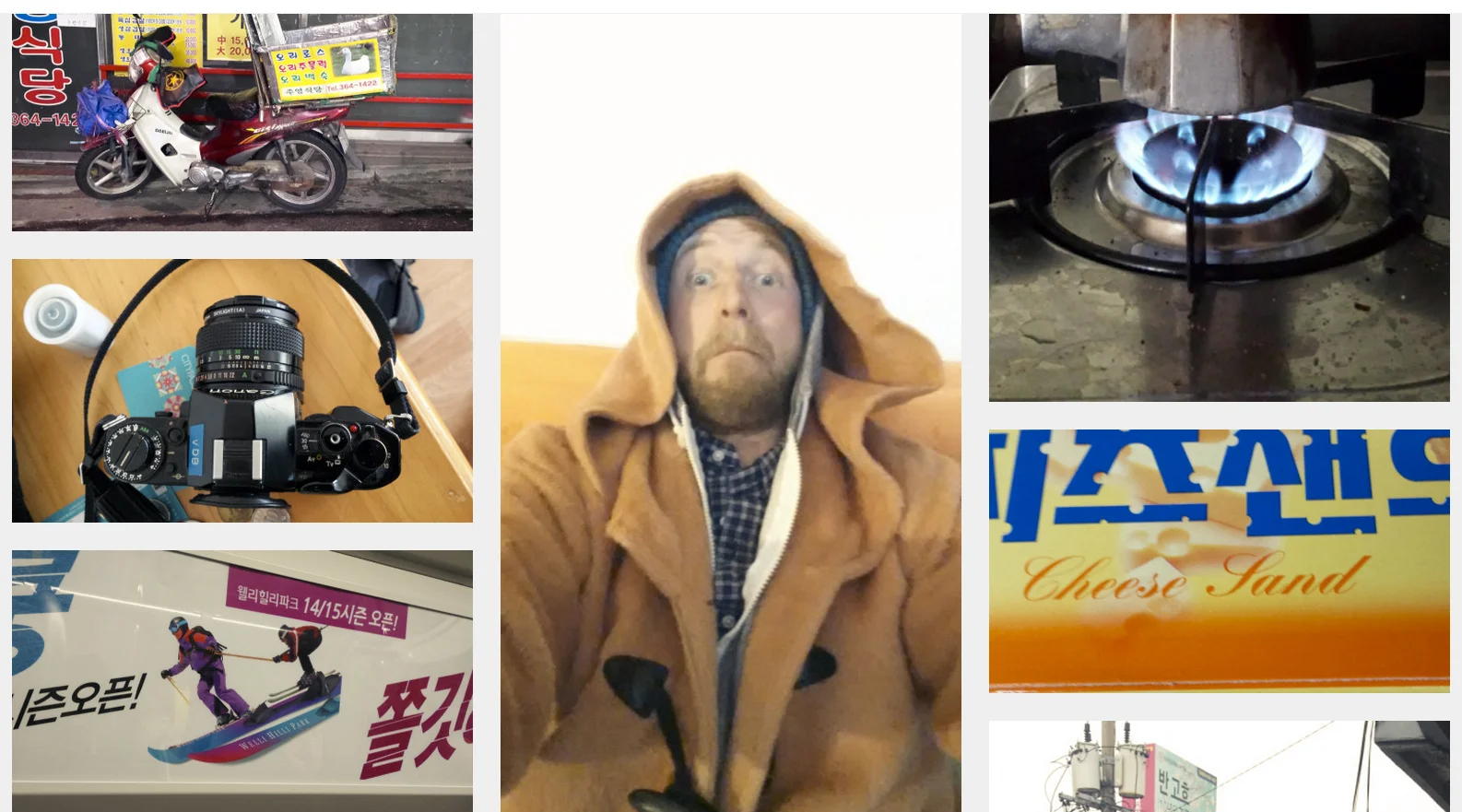 The furcoat-selfies, the unfortunate ice-creams, the happy geese. 