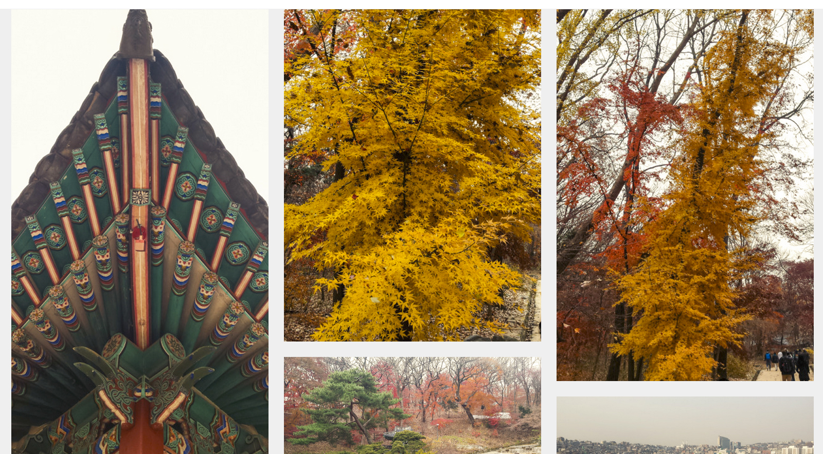 The tradition, the nature, the colors. 