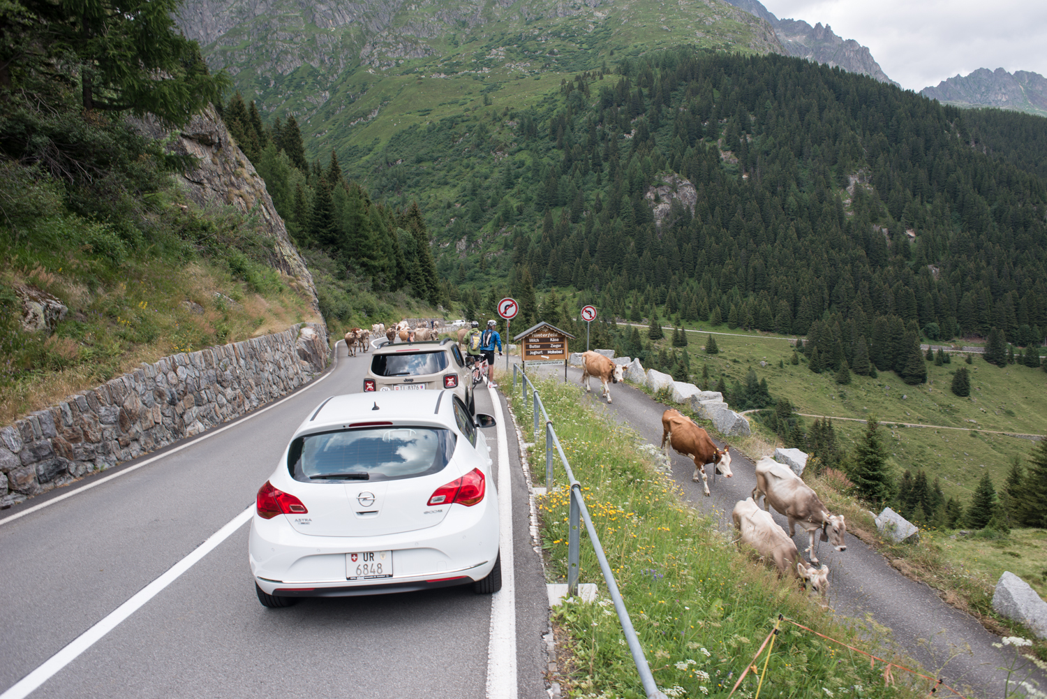 SustenPass_20150709-3830.jpg