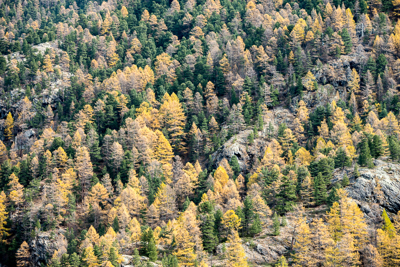 FVDB-Photography_Blog_BreithornClimb-801371.jpg