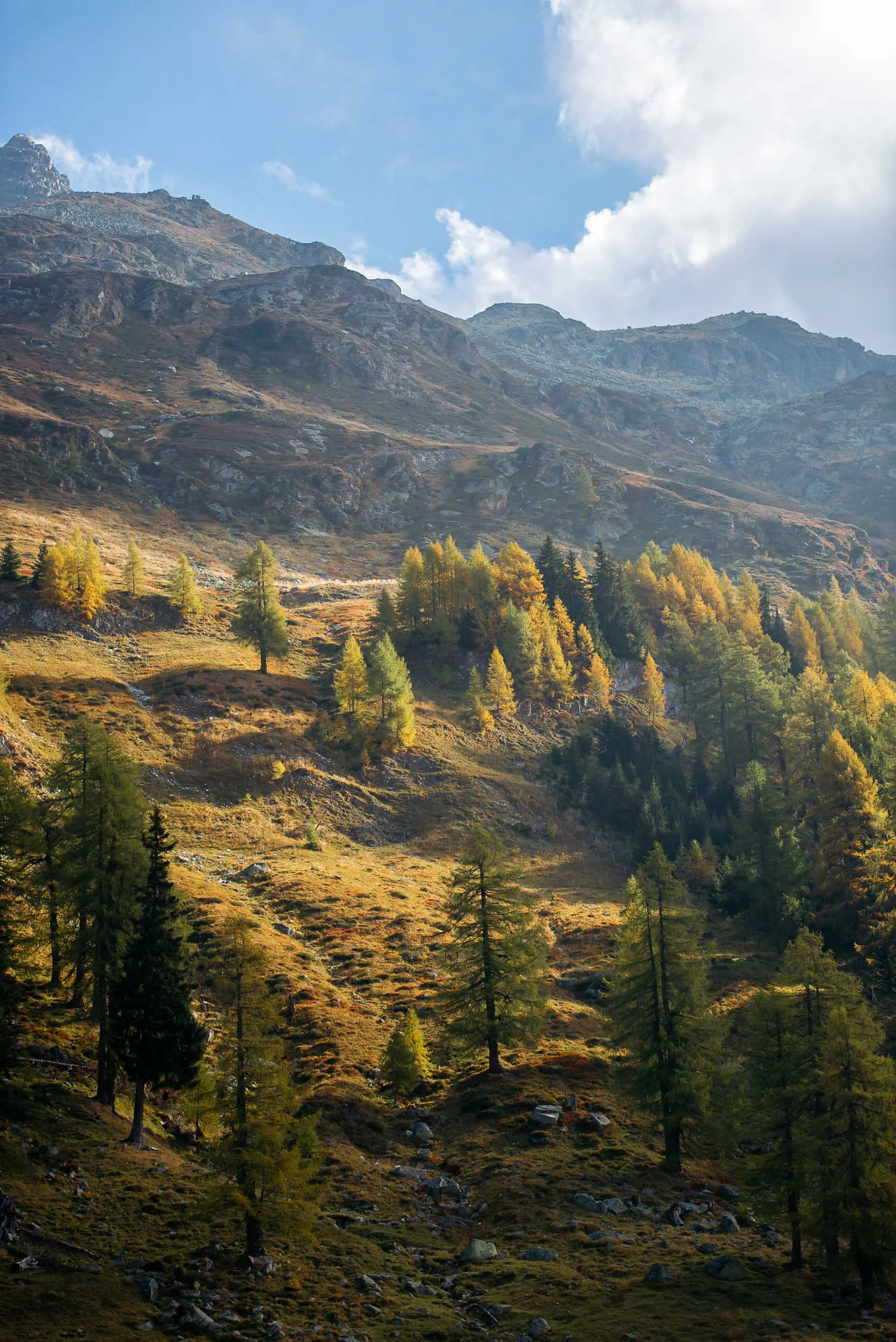 Frederik-vandenBerg_Travel-Photographer_Splügen-Switzerland--804374.jpg