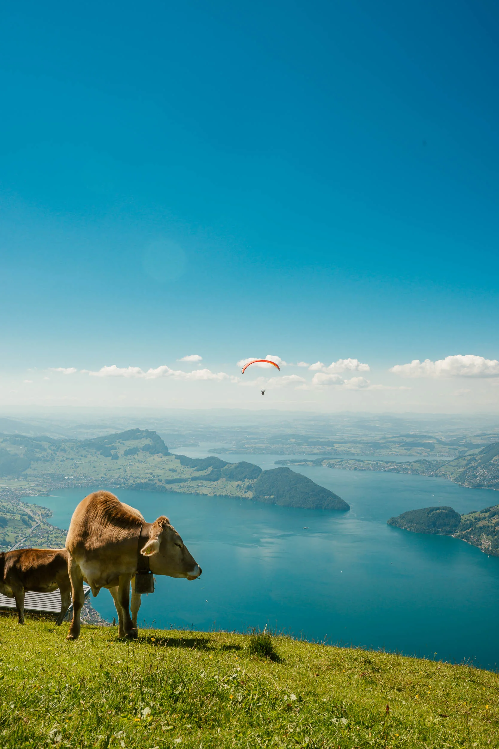 Frederik-vandenBerg_Photographer-Switzerland-Airbnb Experiences - Paragliding Switzerland-147.jpg