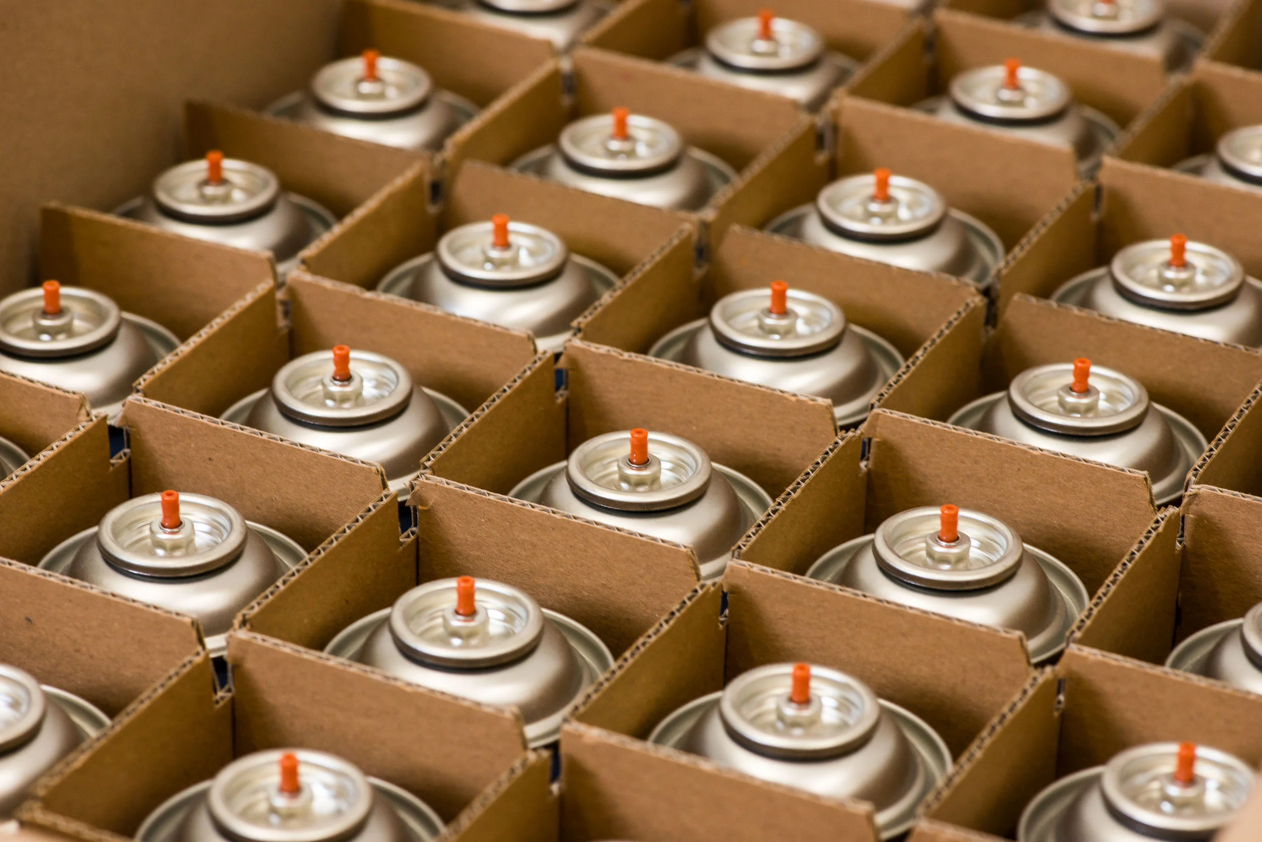 SwissBreeze Bottled Air