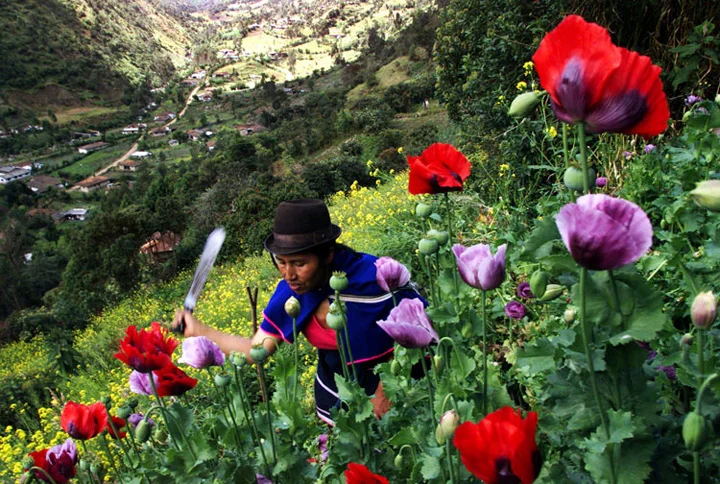 Colombia_Conflict_004.jpg