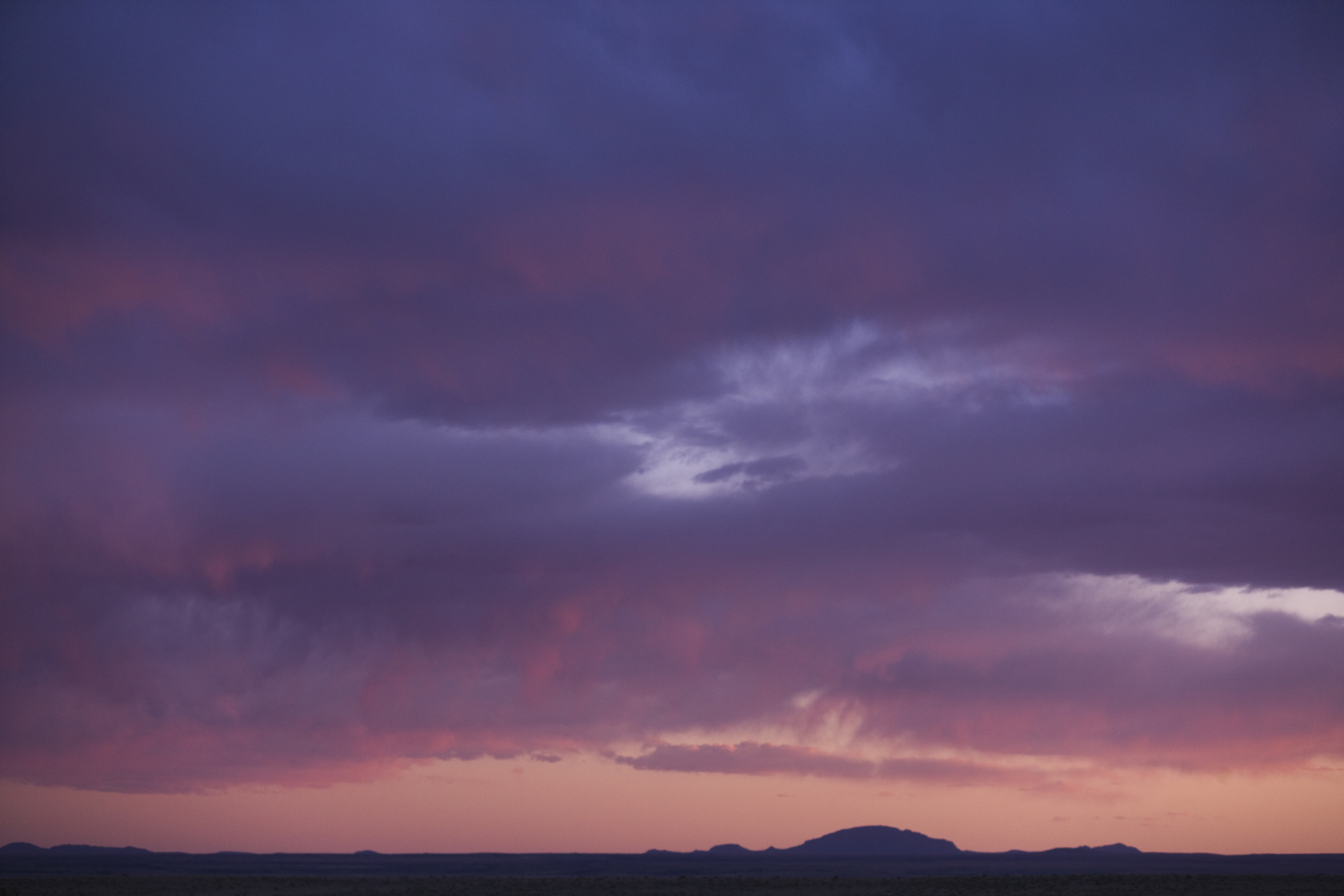 200904150479PL.jpg