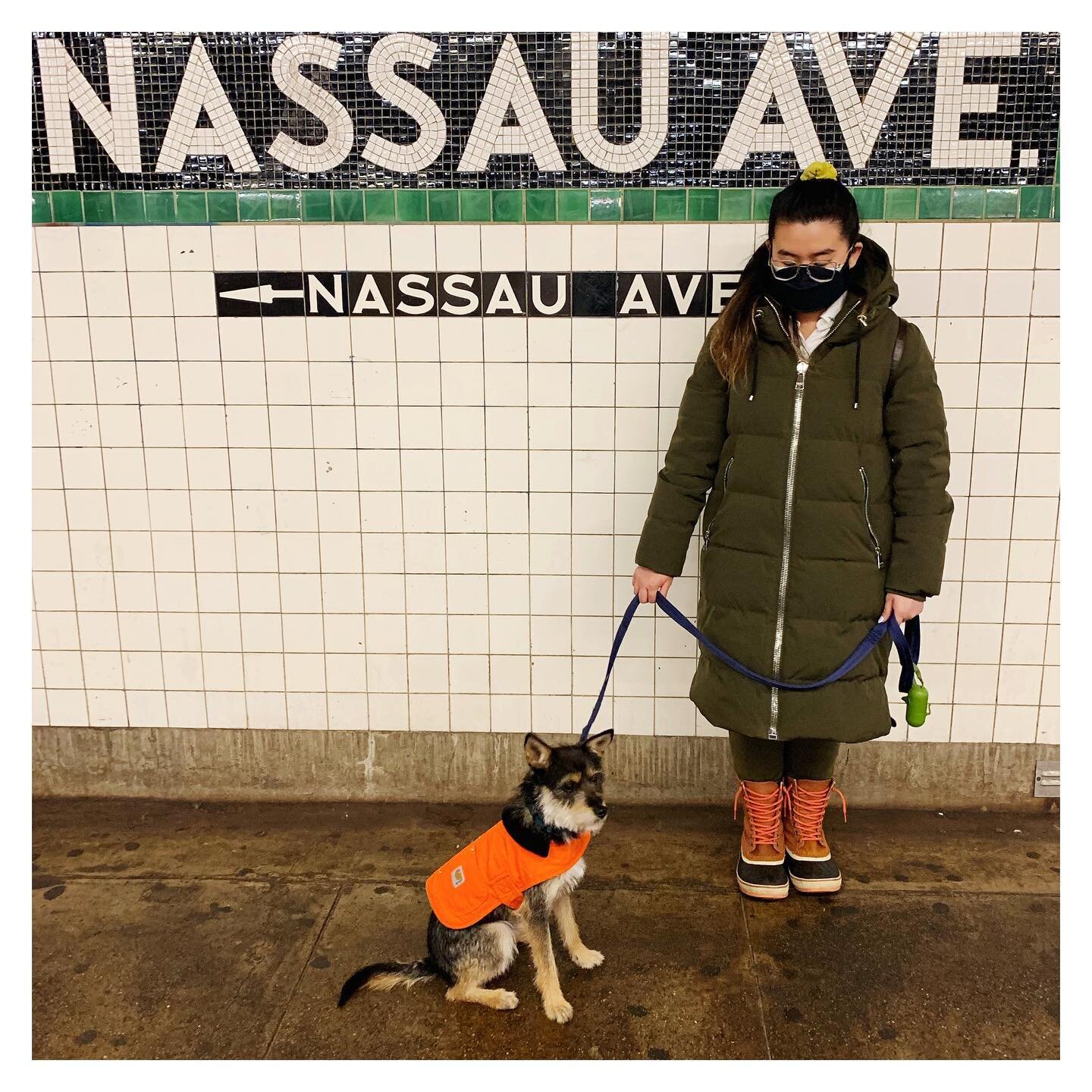 You&rsquo;re officially a New Yorker @kenji.thegoodboy
.
.
#koreank9rescuealumni #nycdogs #brooklyn #dogsofinstagram #dogsofnewyork #subwaydogs