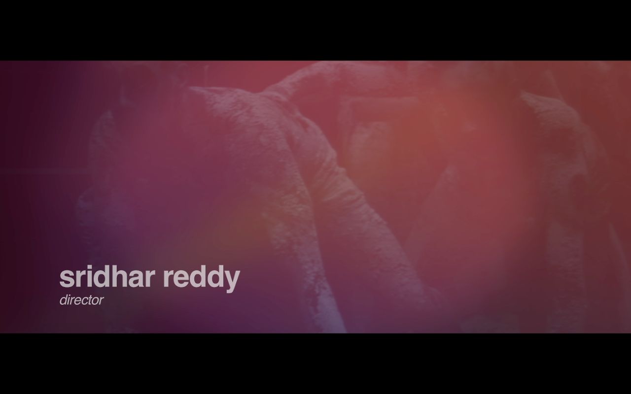Sridhar Reddy Directing Reel