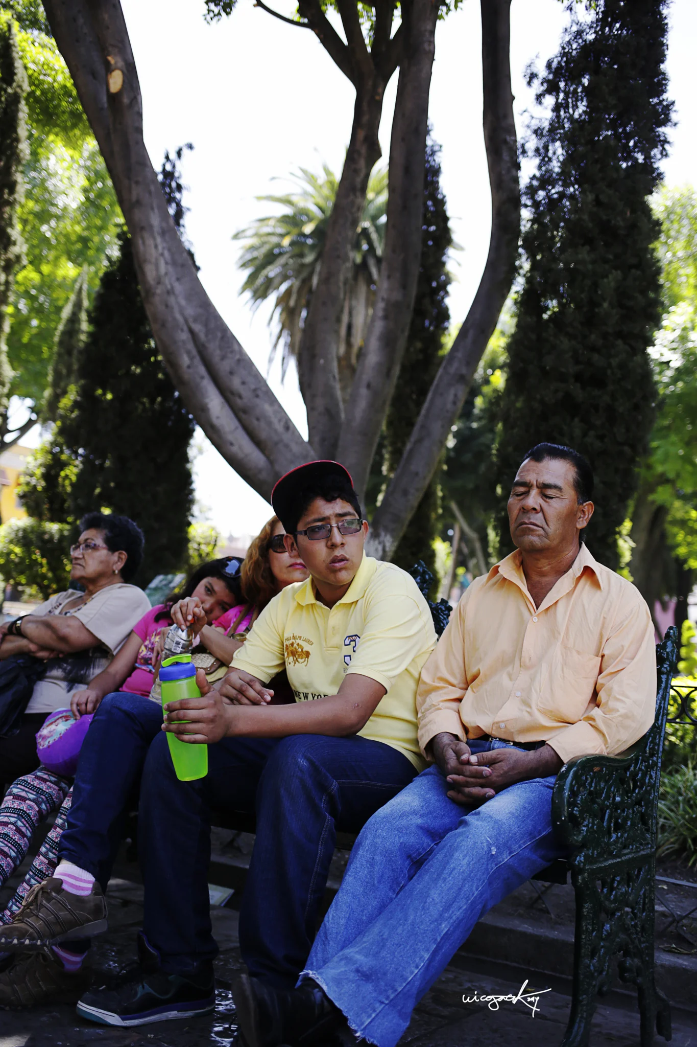 _MG_8812 copia.jpg
