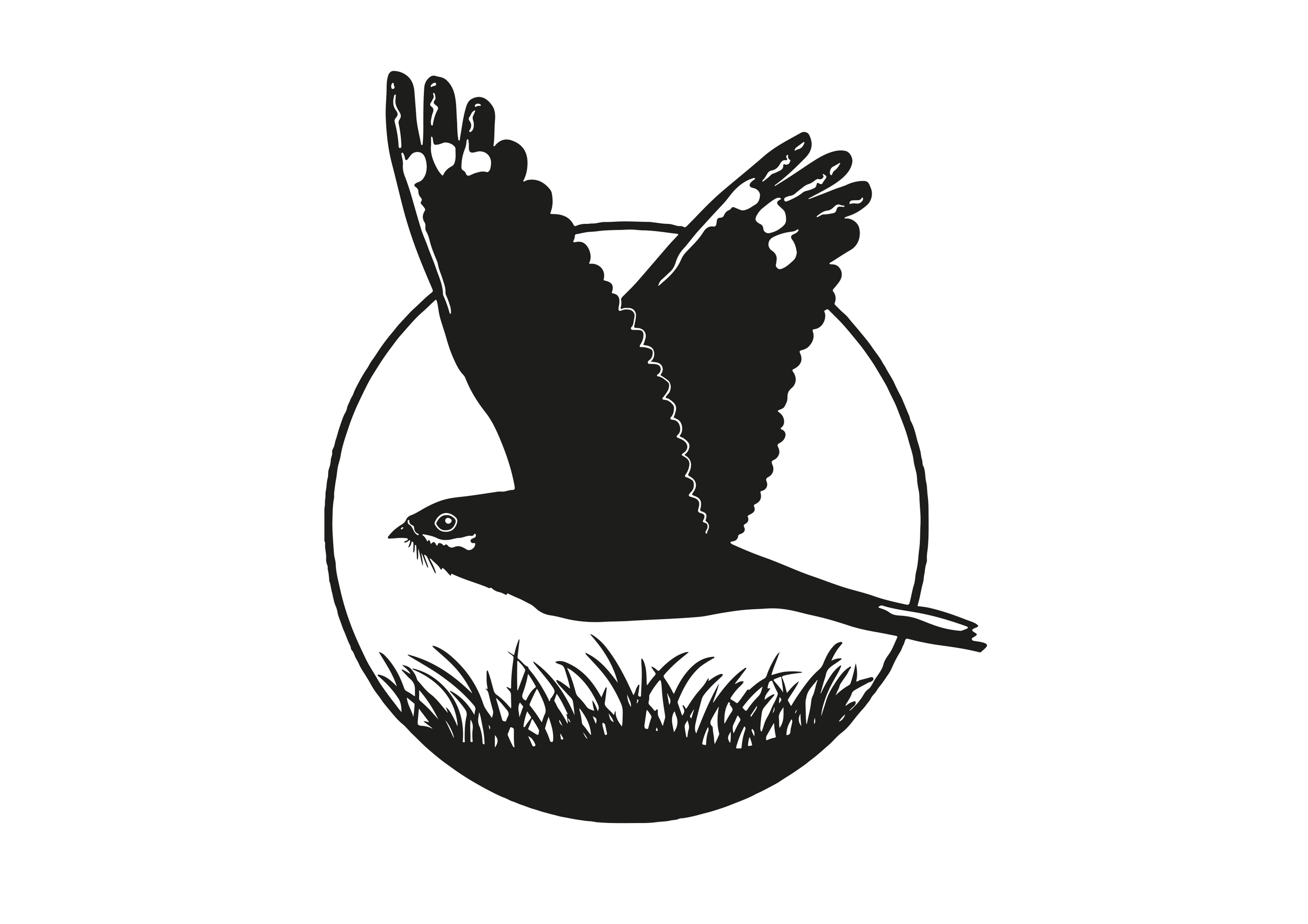 Nightjar Logo Design, Wildlife Trust
