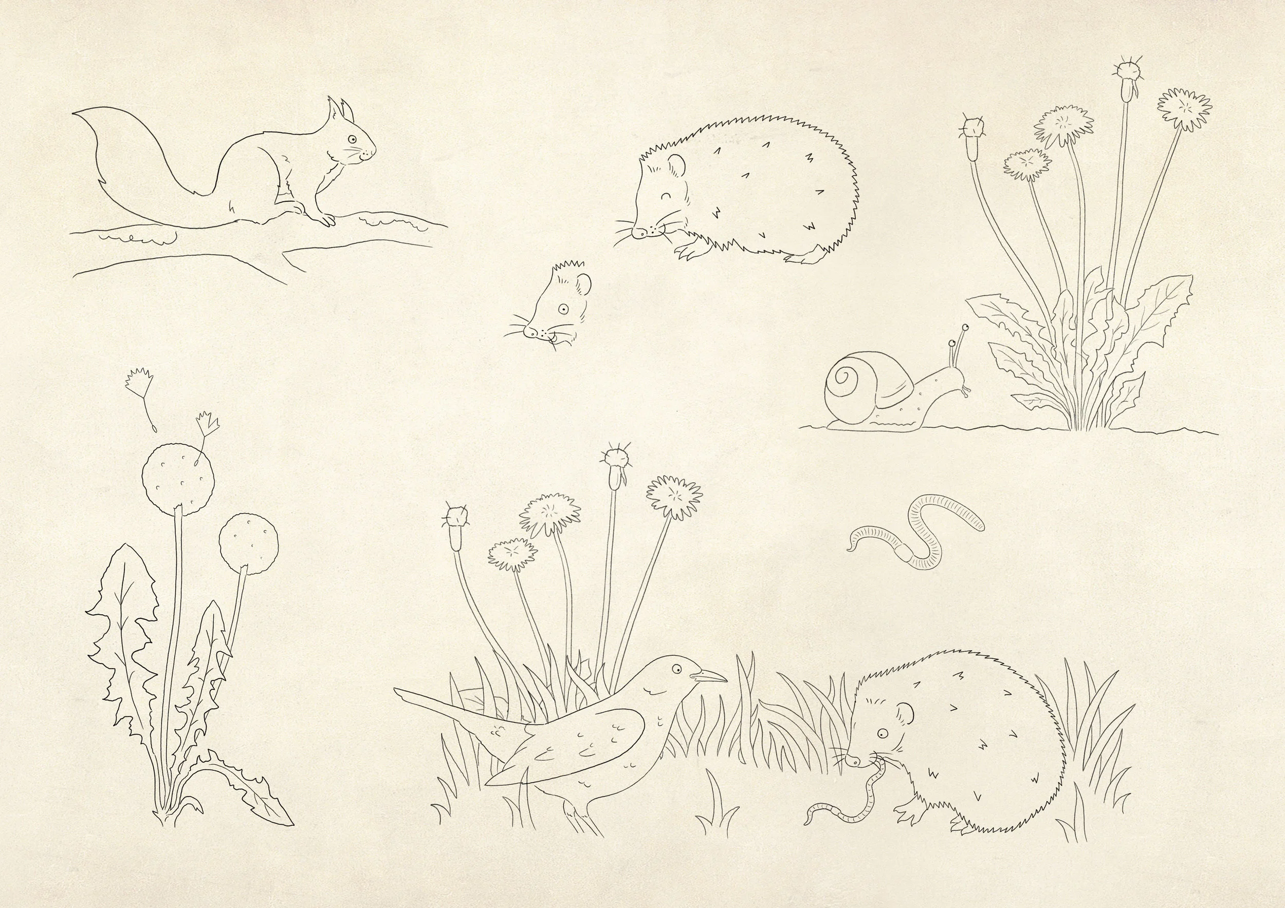Children's Book Sketches