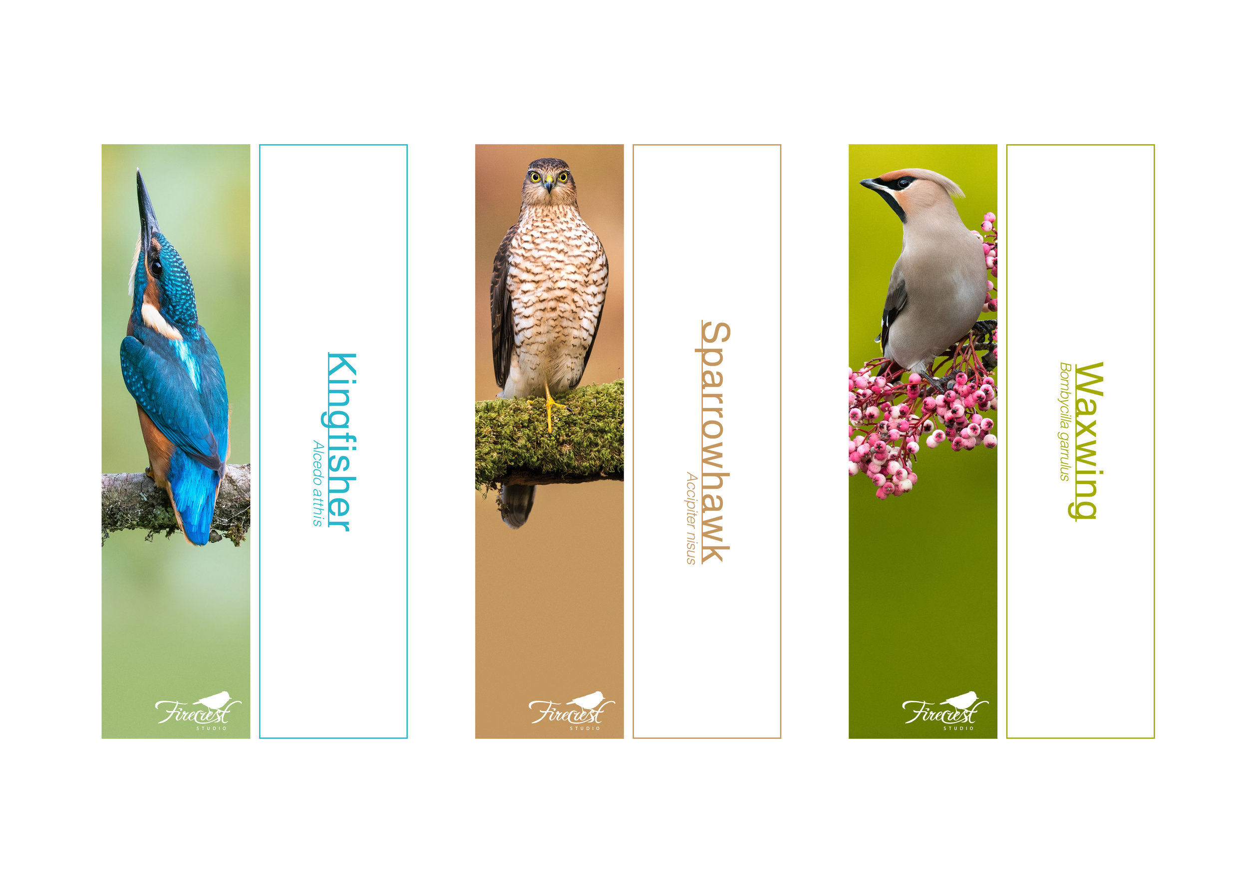 Firecrest Studio Bookmark Designs