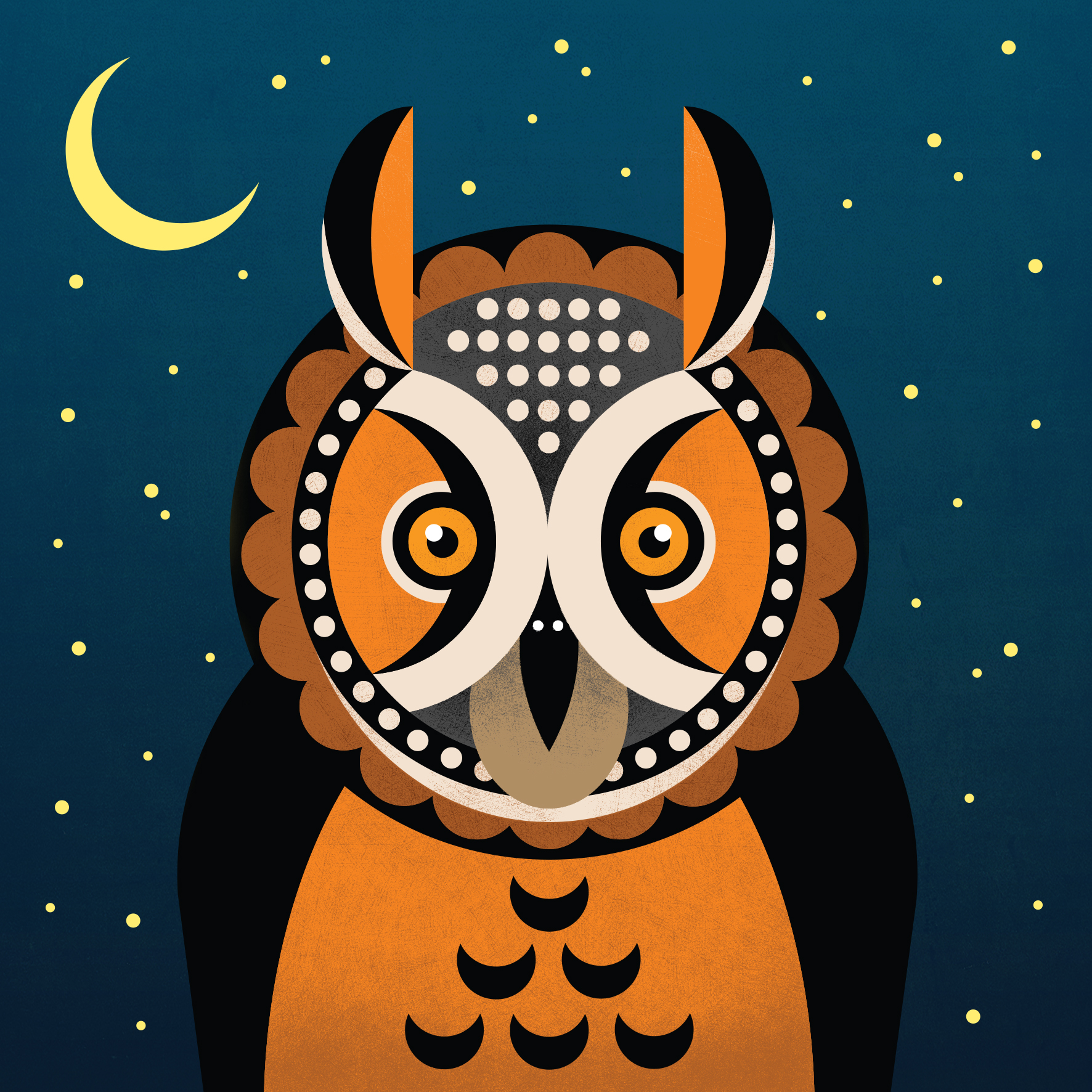 Long-eared owl graphic illustration