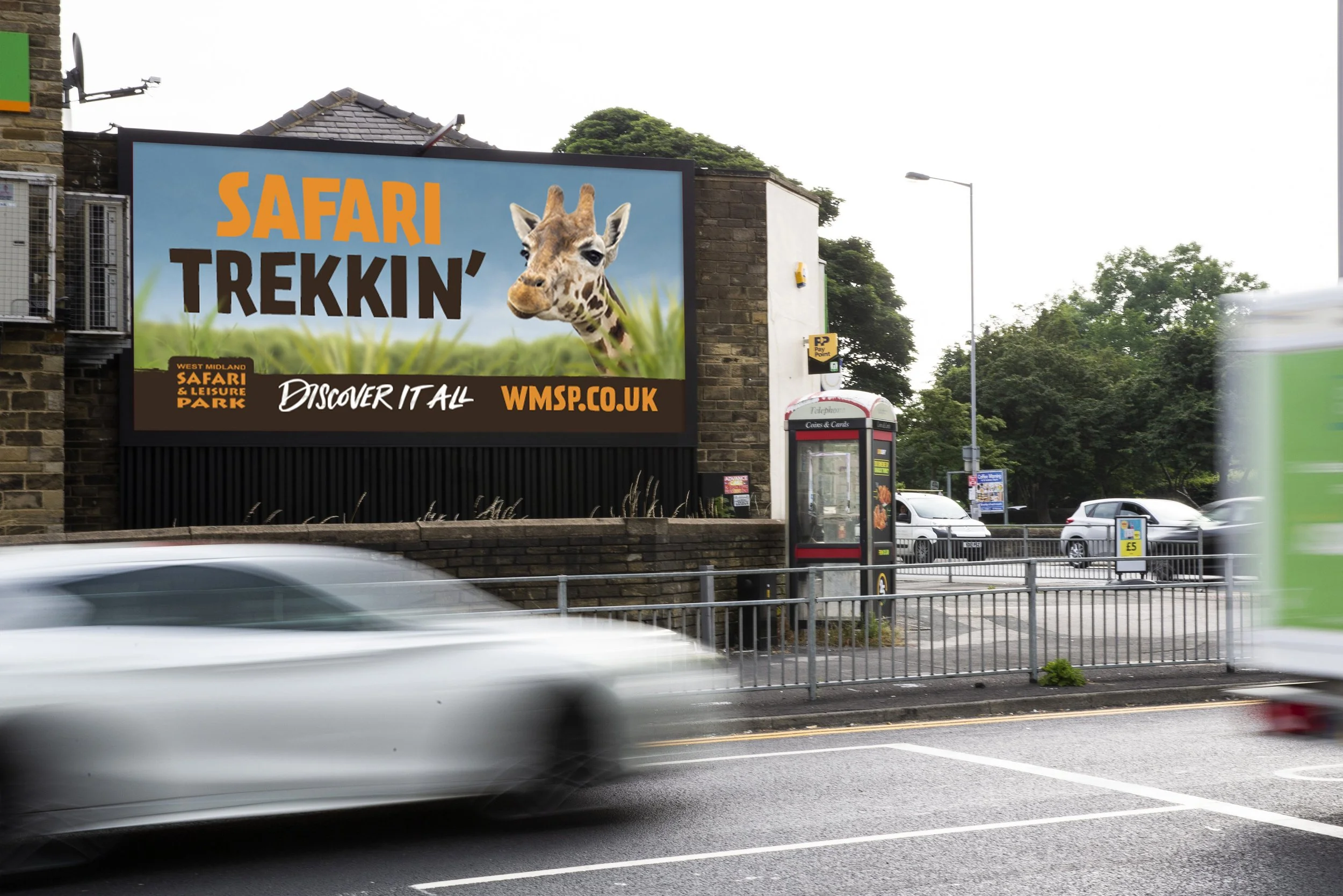Safari Treekin' D48.jpg