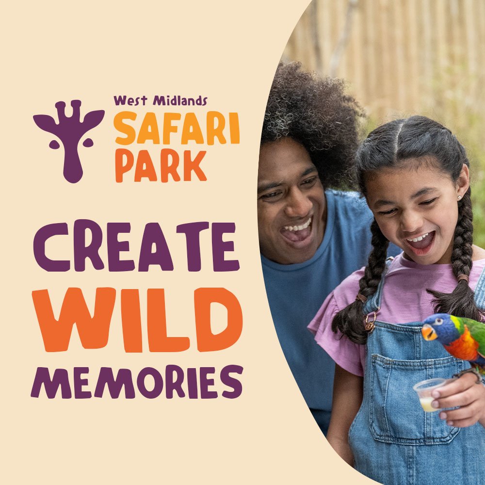 Create Wild Memories Square.jpg