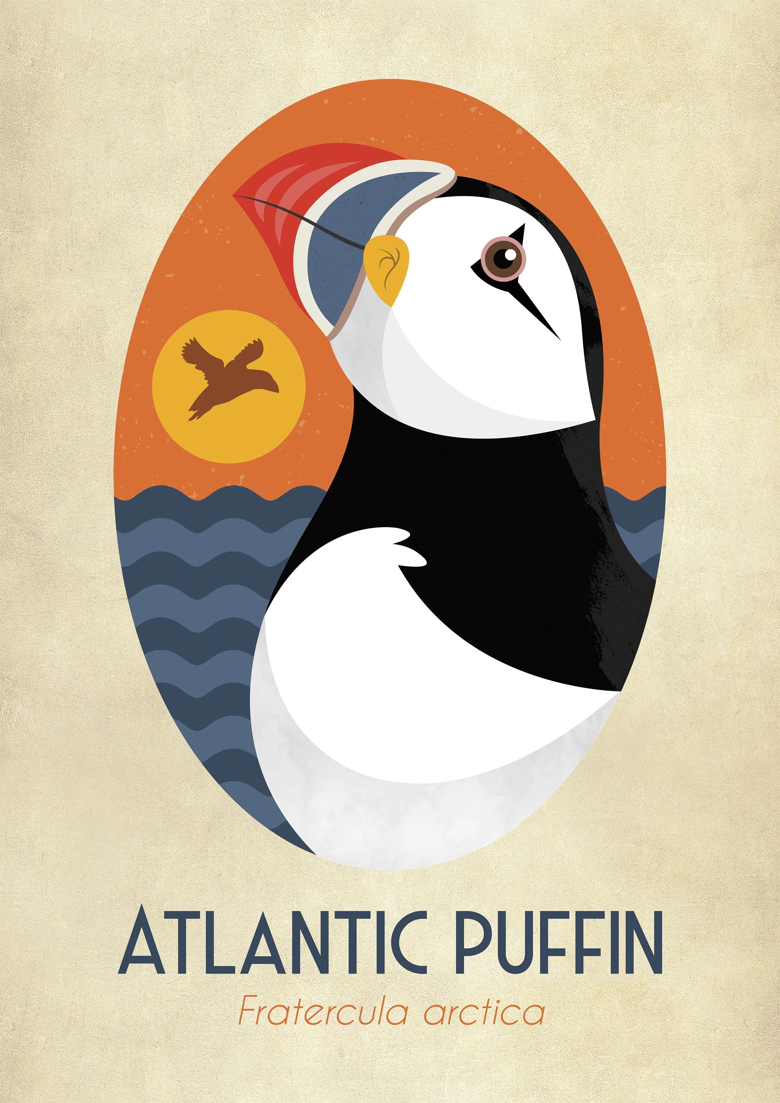 Puffin Illustration.jpg