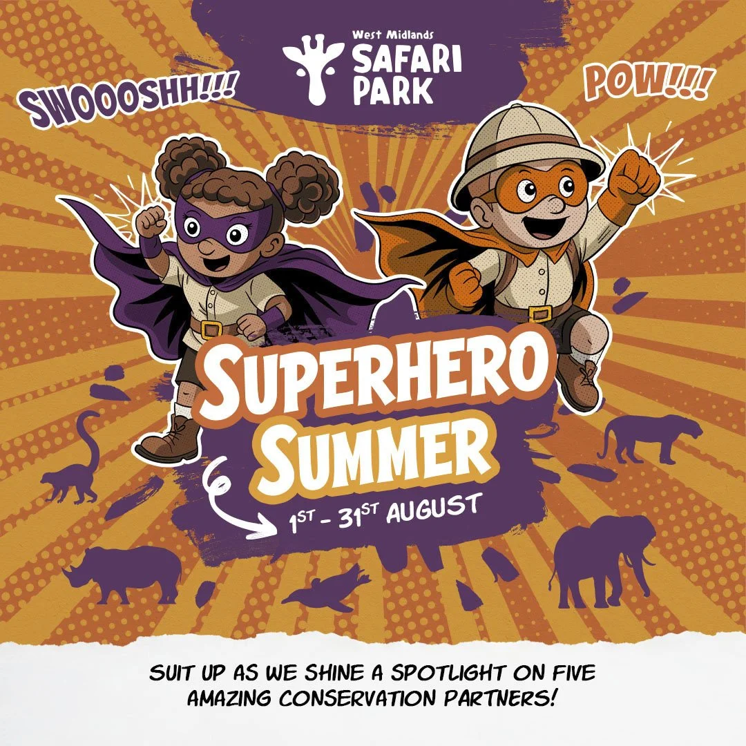 Superhero Summer 1080x1080px.jpg