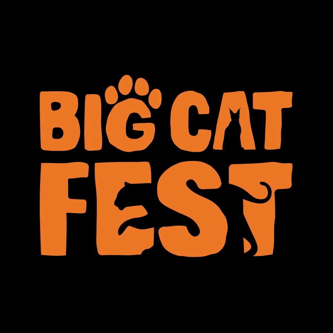 Big Cat Fest Square.jpg