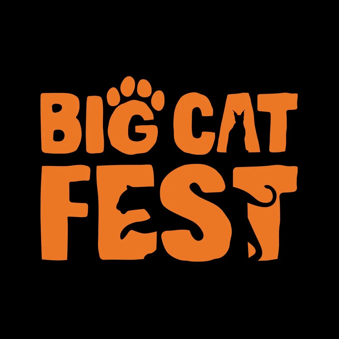 Big Cat Fest Square copy.jpg