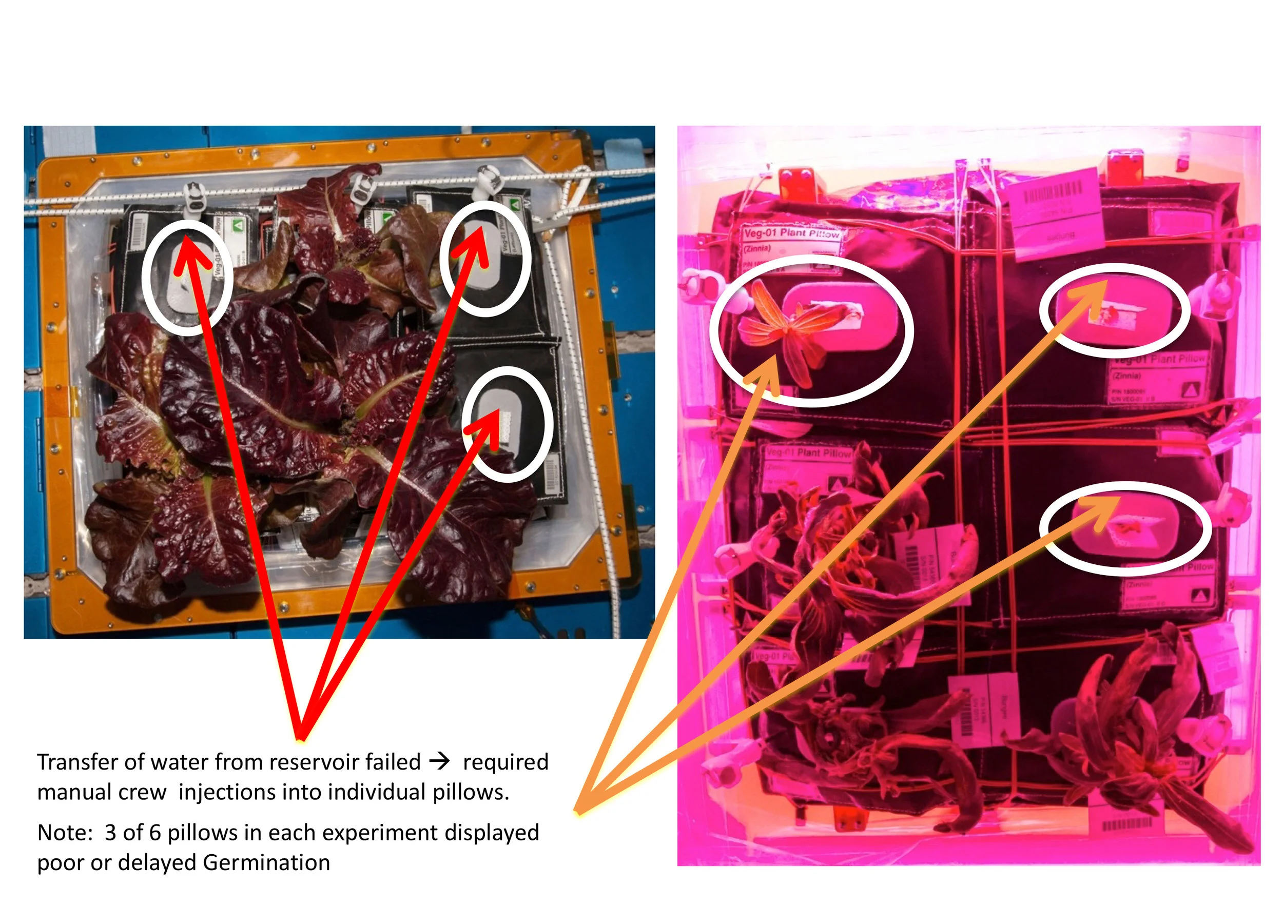 PROBLEM B: Capillary Mesh Failure