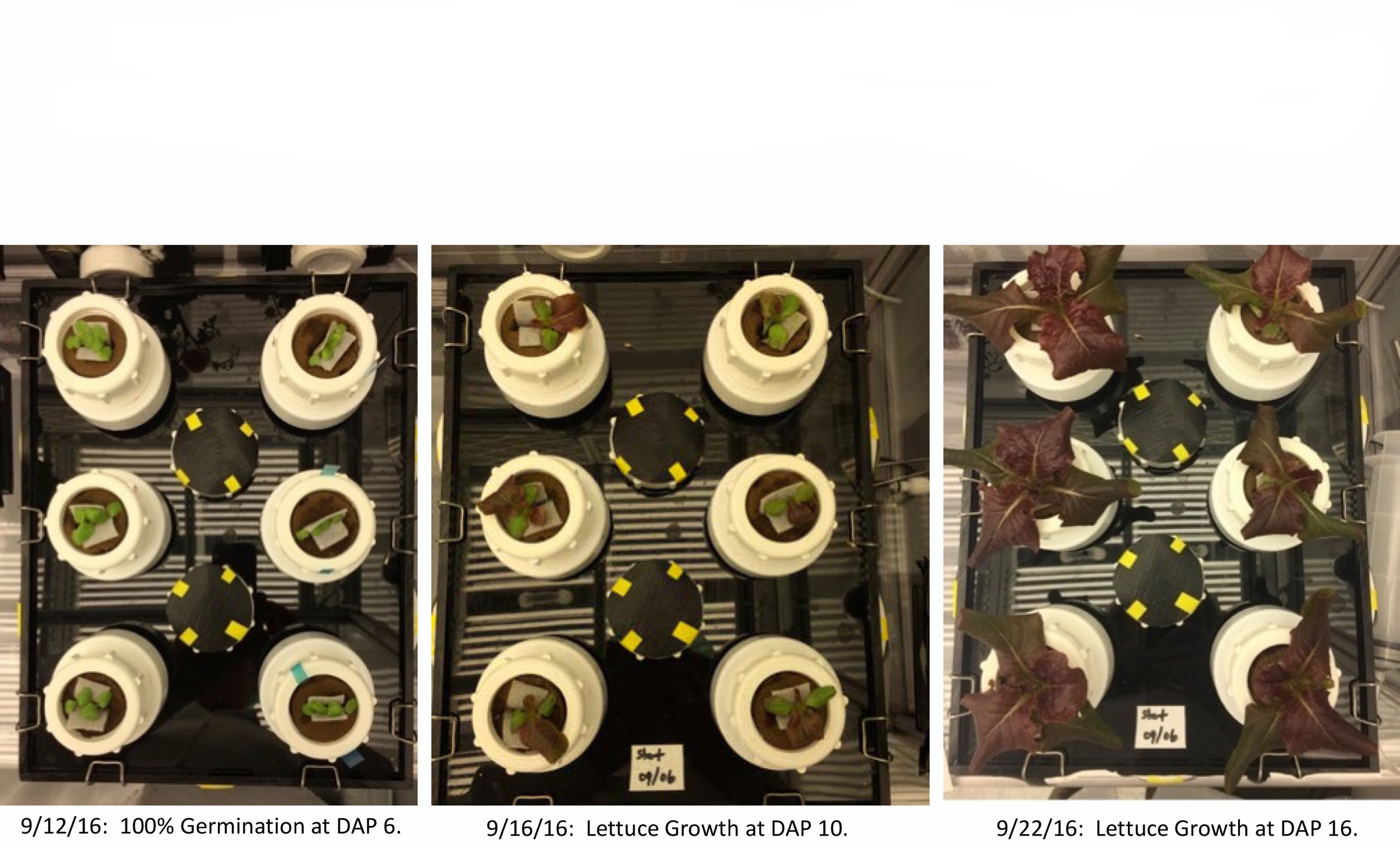 Full vs. Individual System