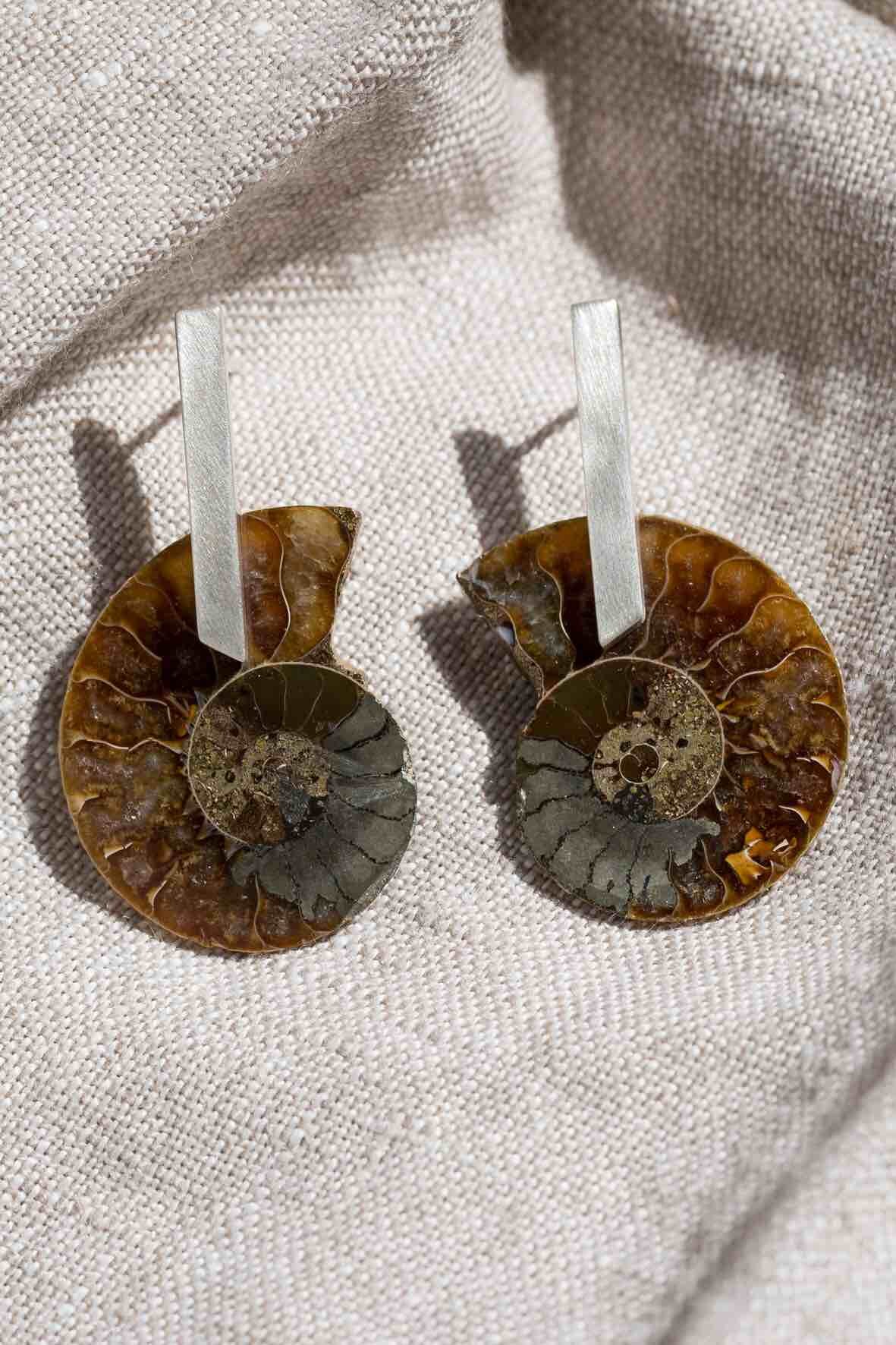 brown ammonite on medium flat bar 01.jpg