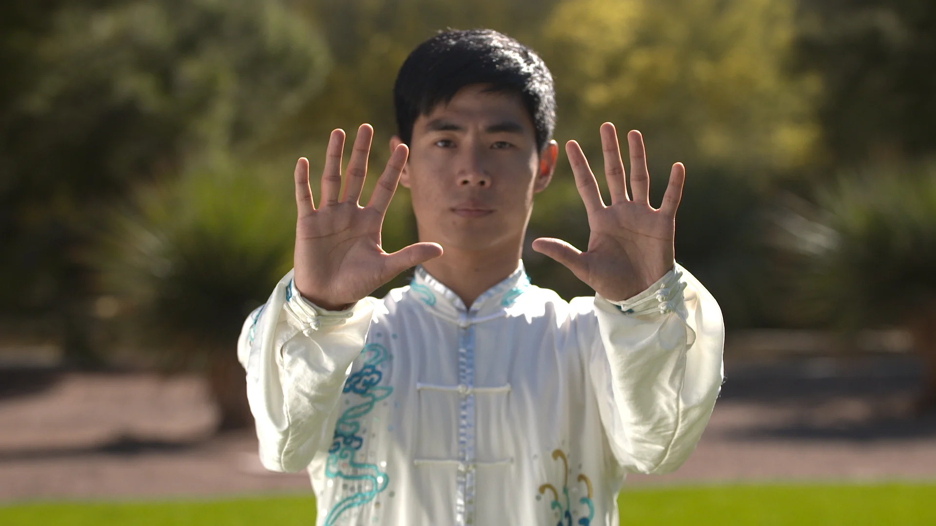 tai chi 2.jpg