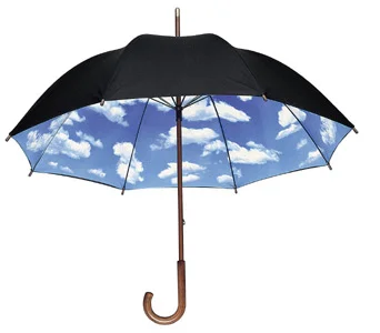 skyumbrella.jpg