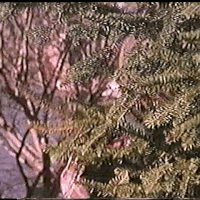 tumblr_oo5s38mRZo1v7mlkno1_250.gif