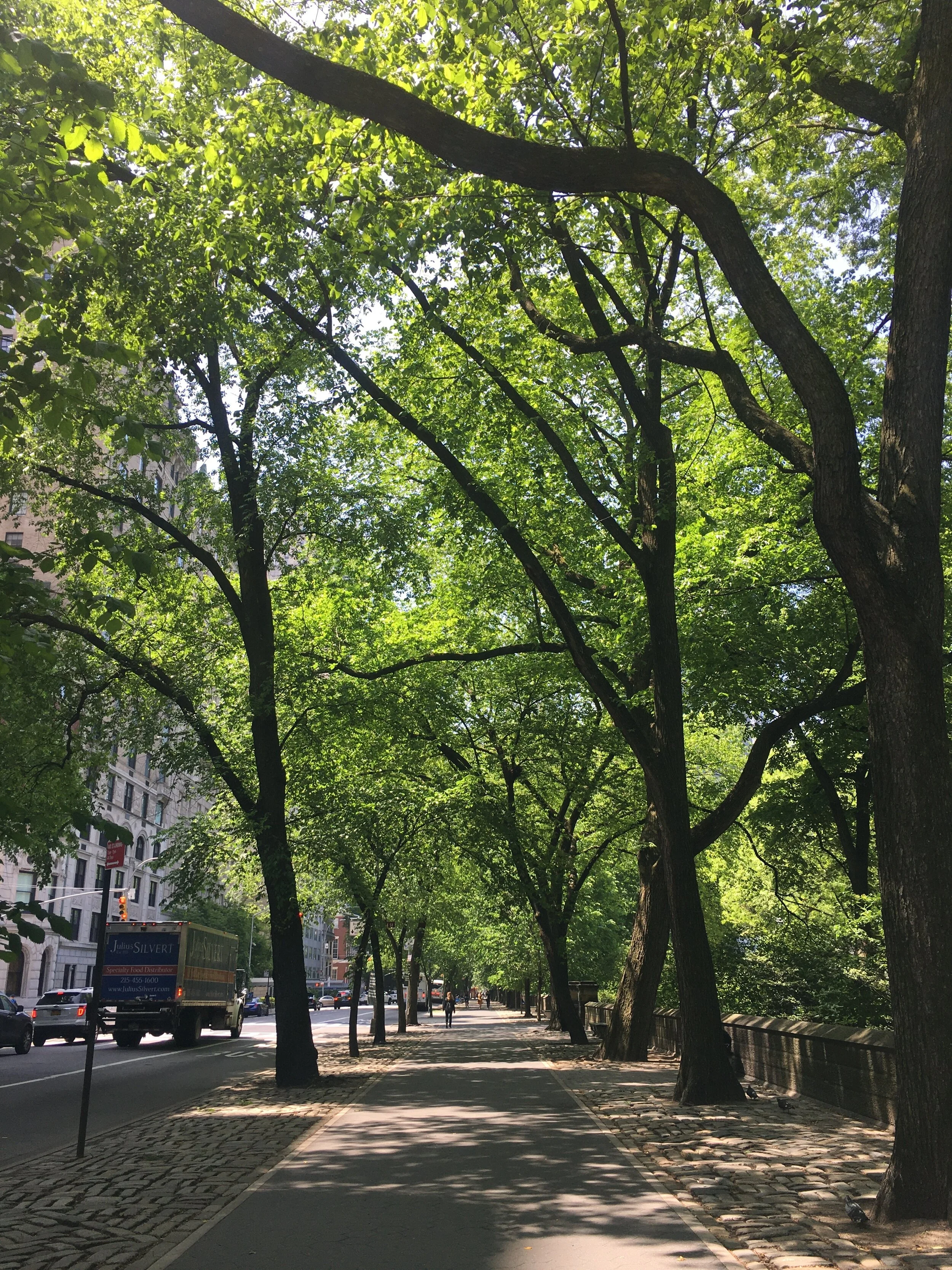 My Walk To Manhattan — LIZ HEATHER