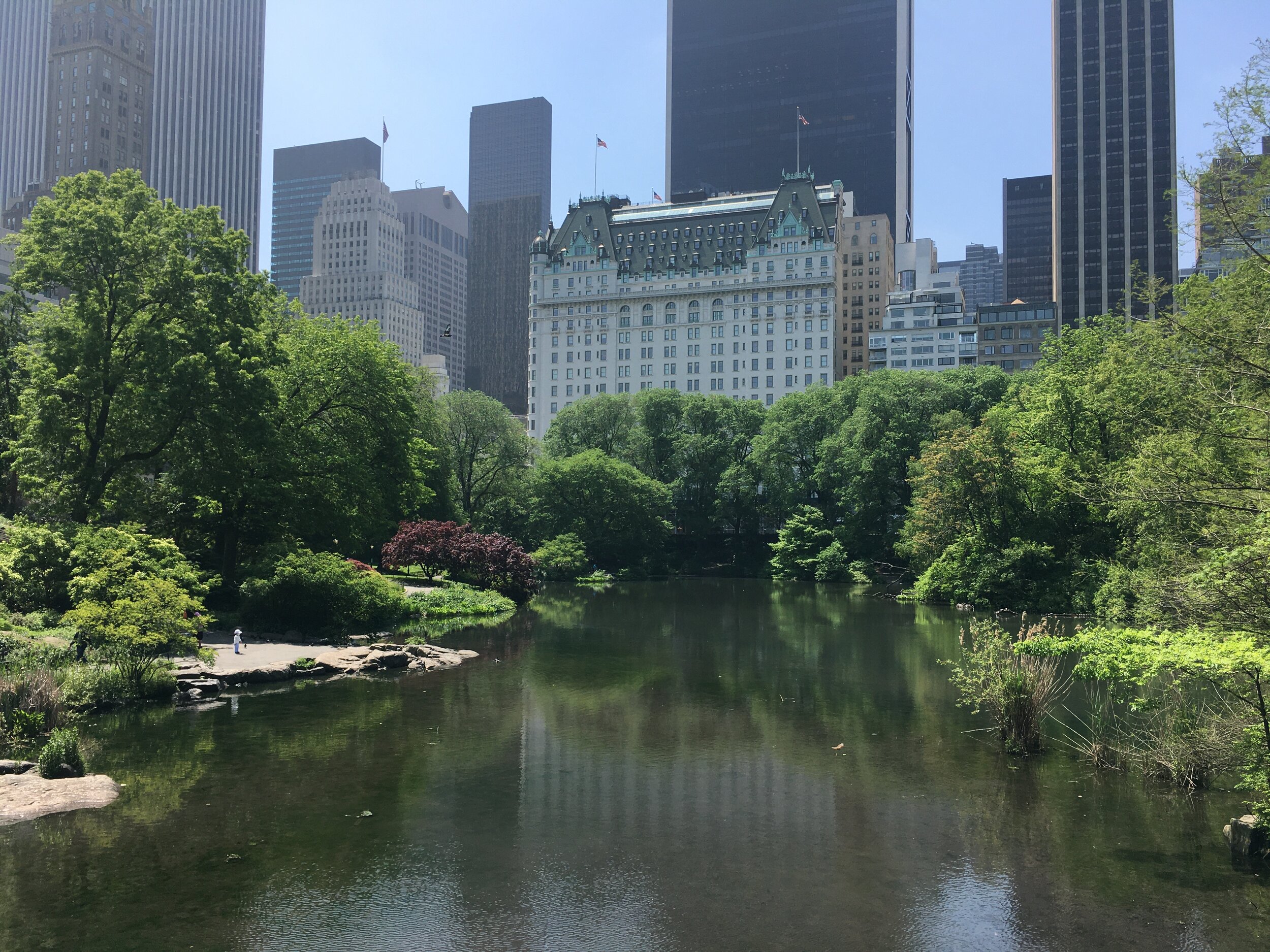 My Walk To Manhattan — LIZ HEATHER