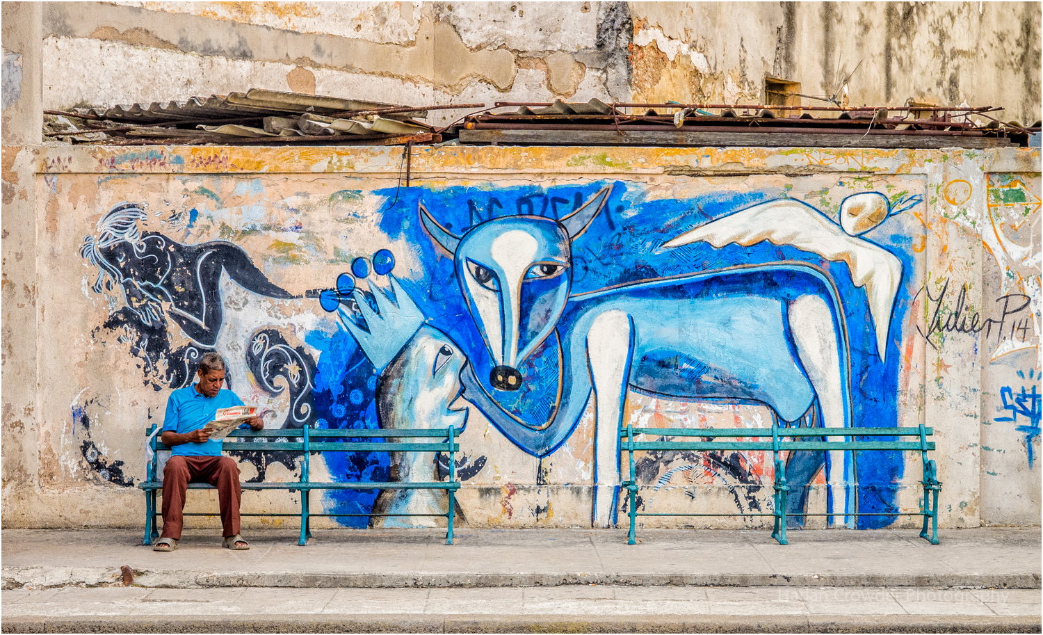 Blue Dog , Havana