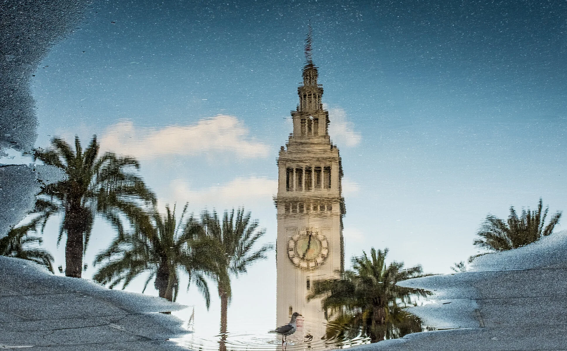 160218-ferry bldg reflect-4244-master.jpg