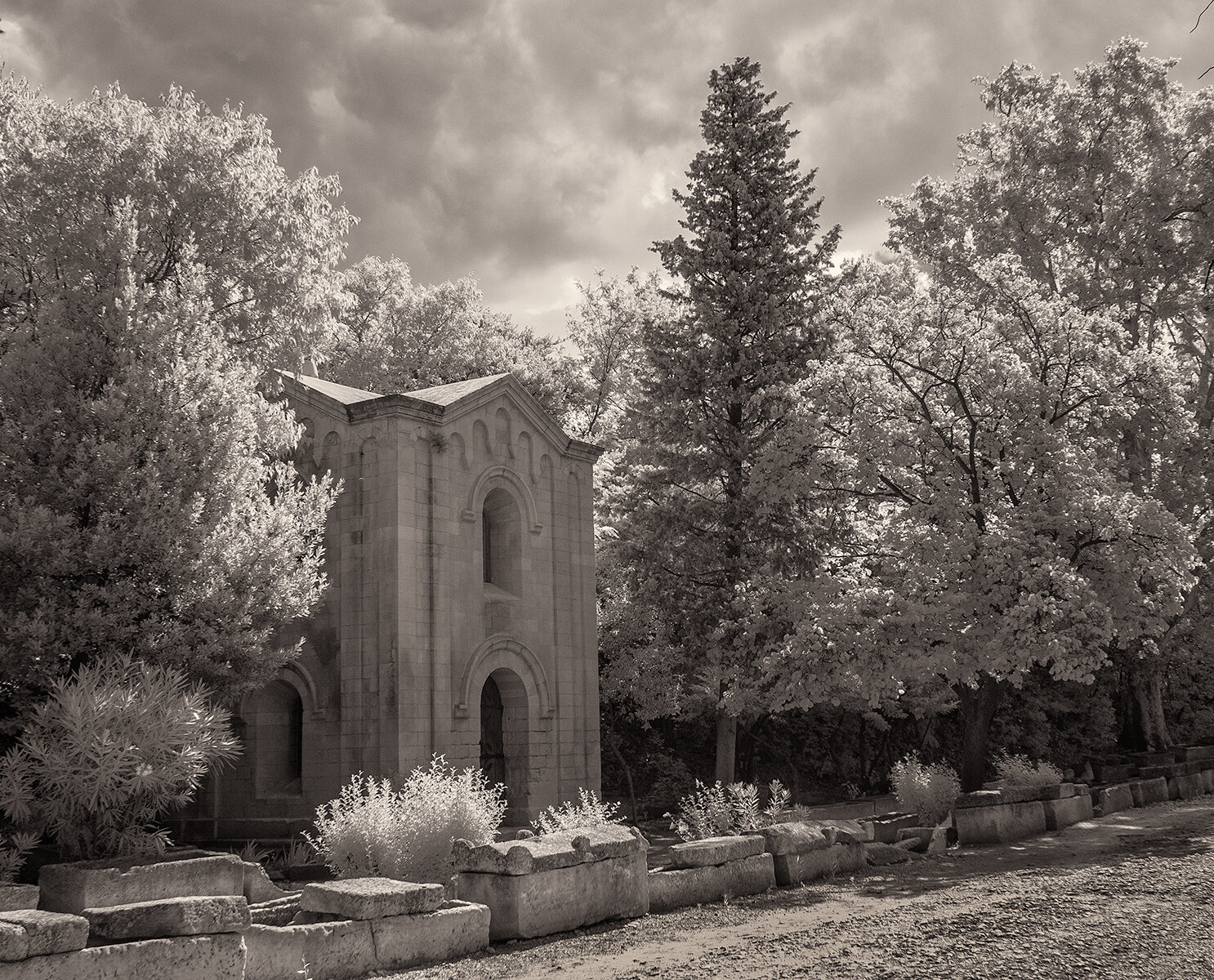 1406-alyscamps0430.jpg