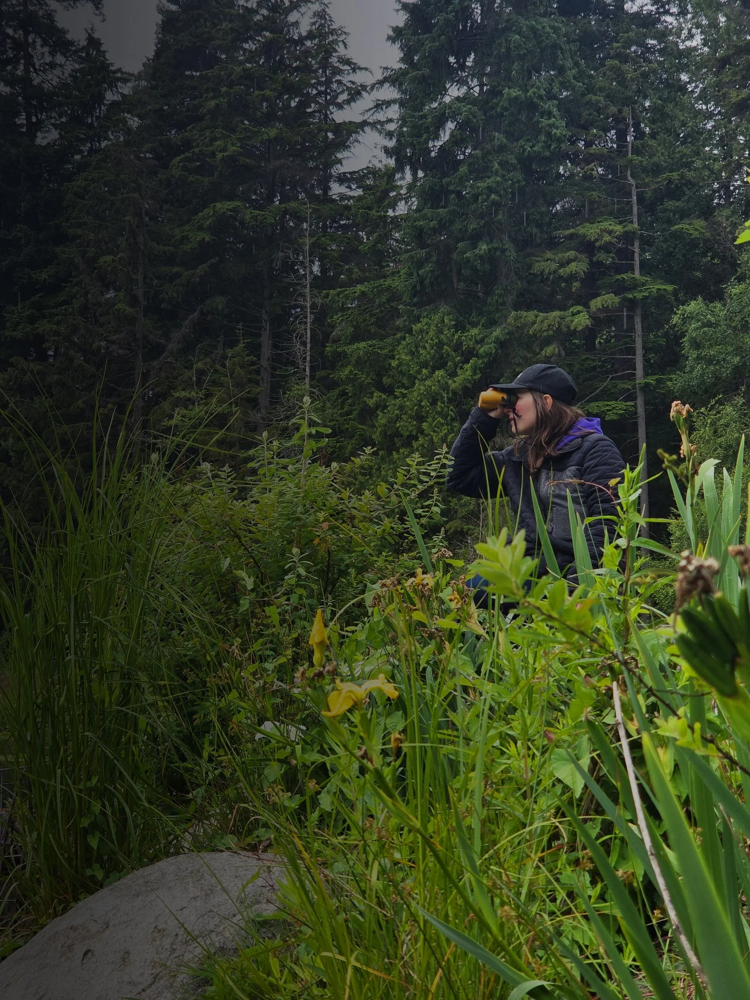 A person with long hair, wearing a dark jacket and a black cap, looking through binoculars in a forested area with dense green trees and various plants and grasses.