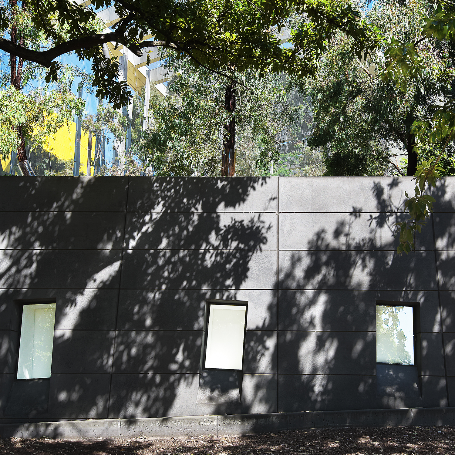 Tree Tops Melbourne Museum