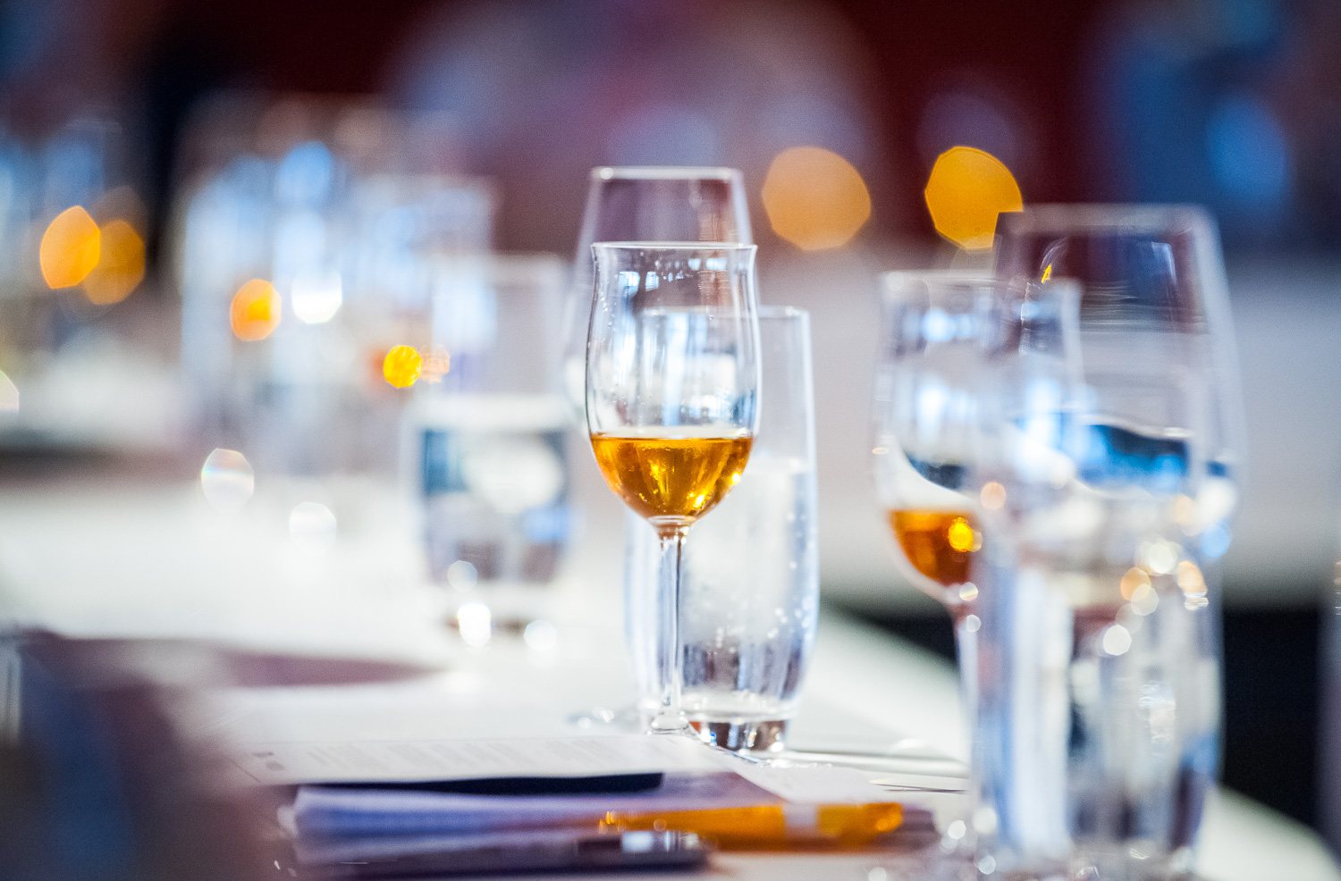 MCEC AIME Media Lunch 2016-131.jpg