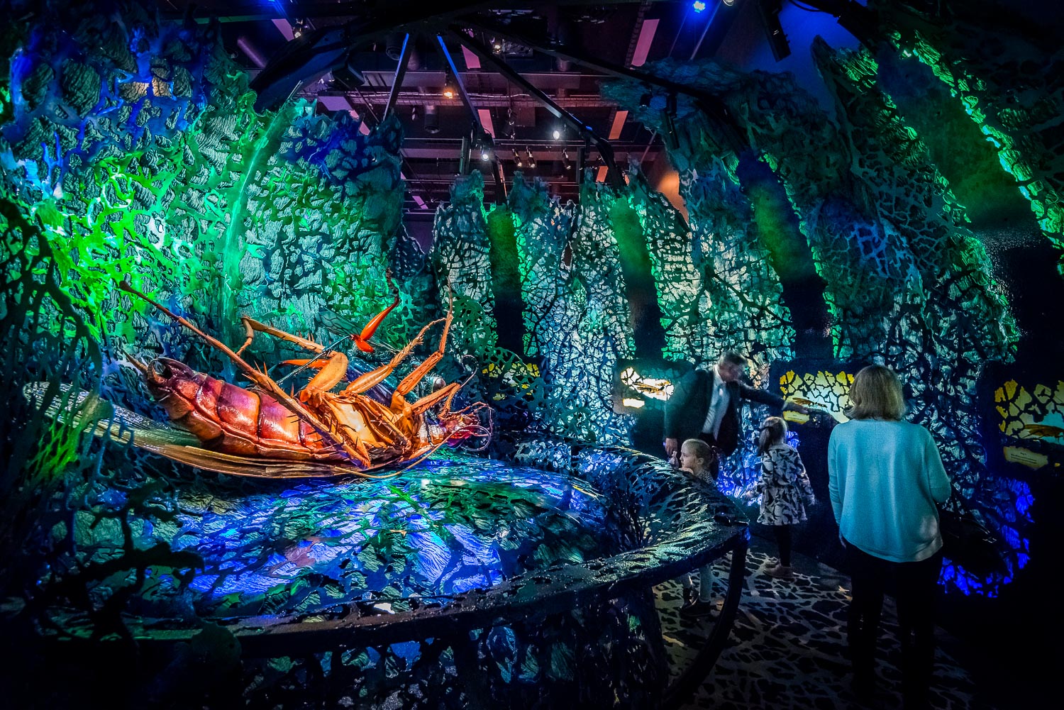 stewiedonn SquSpc MelbourneMuseum-BugLabLaunch-166.jpg